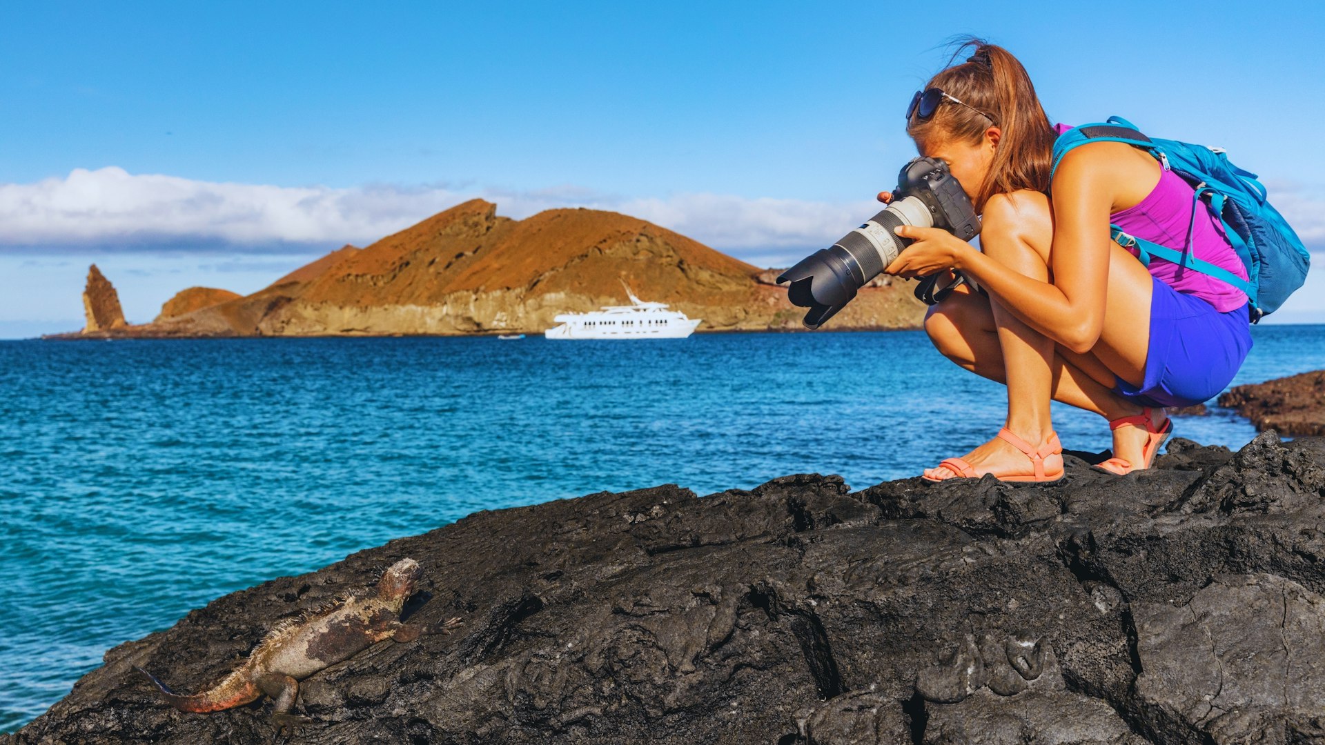 A woman photographs a marine iguana on Santiago Island, Galépagos Islands, Ecuador