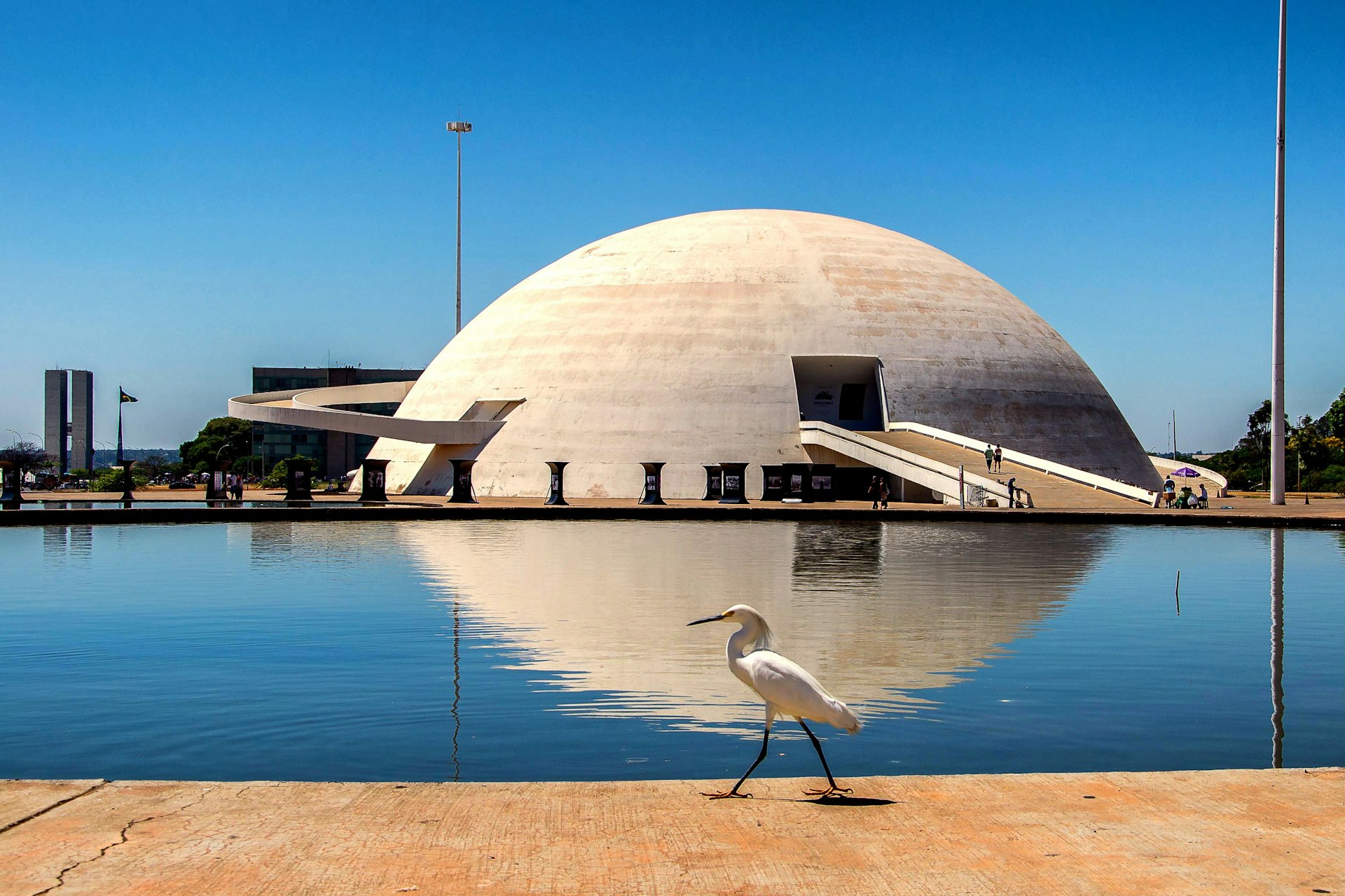 A bird walks in front of the concrete dome housing the Honestino Guimarães National Museum in Brasilia