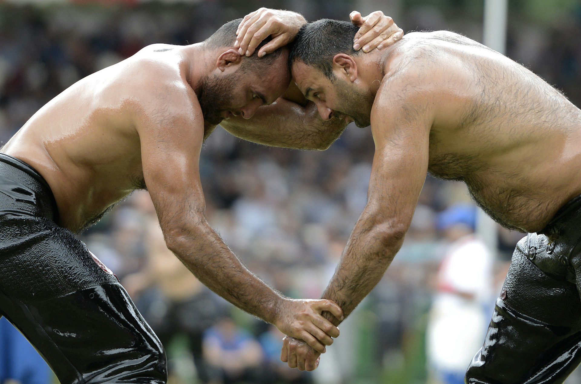 Two oil wrestlers wrestling at Kirkpinar oil wrestling festival, Edirne, Istanbul