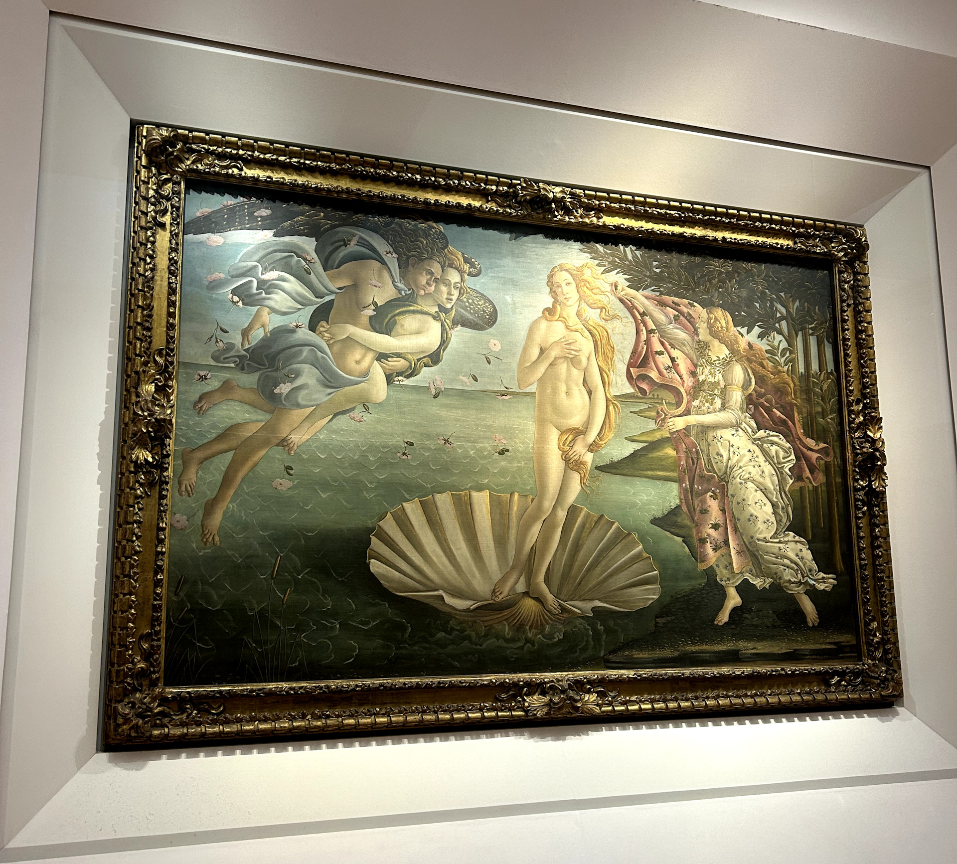 The birth of Venus by Botticelli hanging in the Uffizi Gallery, Florence