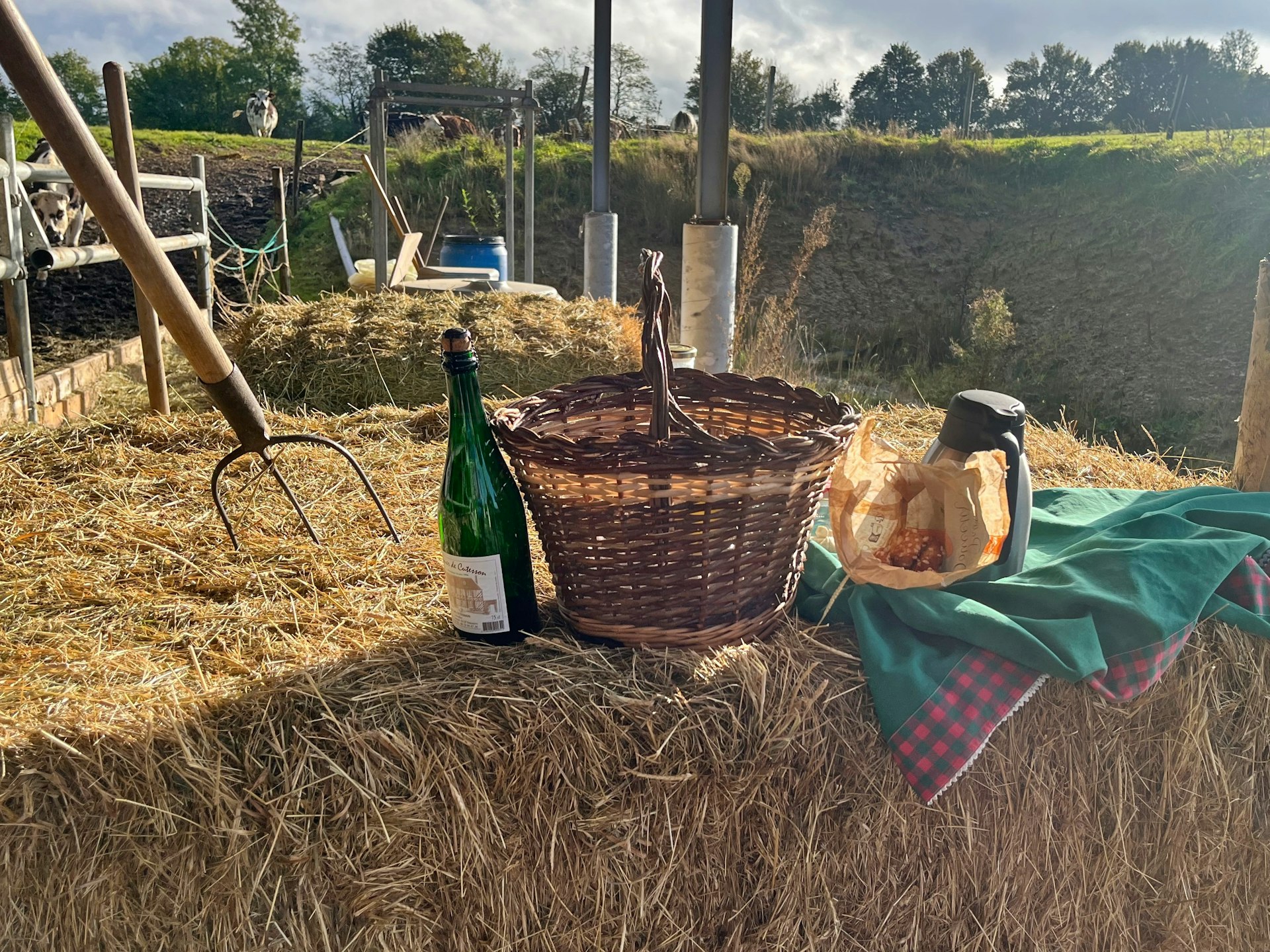 Milk, butter and cheese displayed with a picnic blanket on a bale of hay in a farm