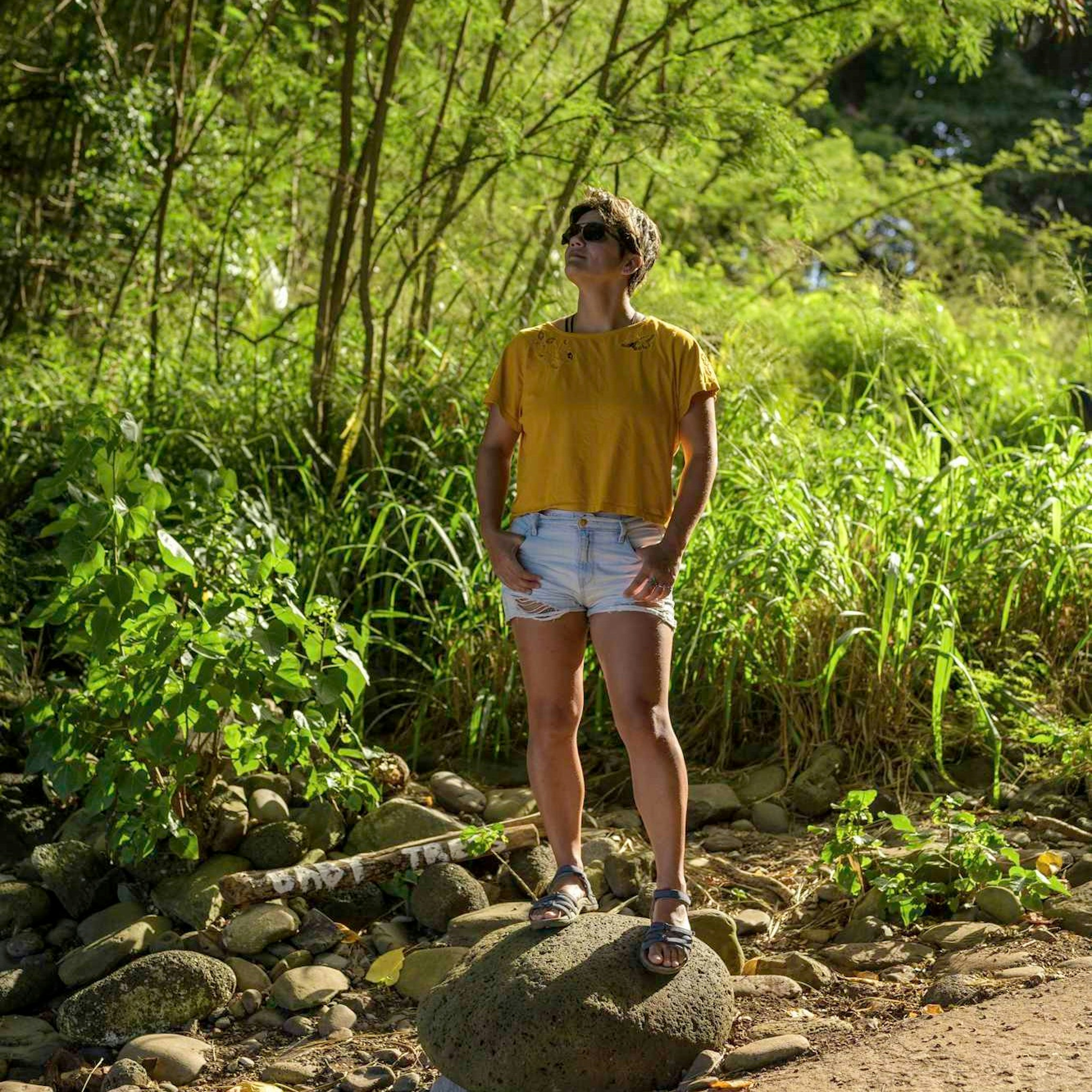 Morgan Wegner standing on a rock and looking upwards, amidst sun-dappled trees and foliage