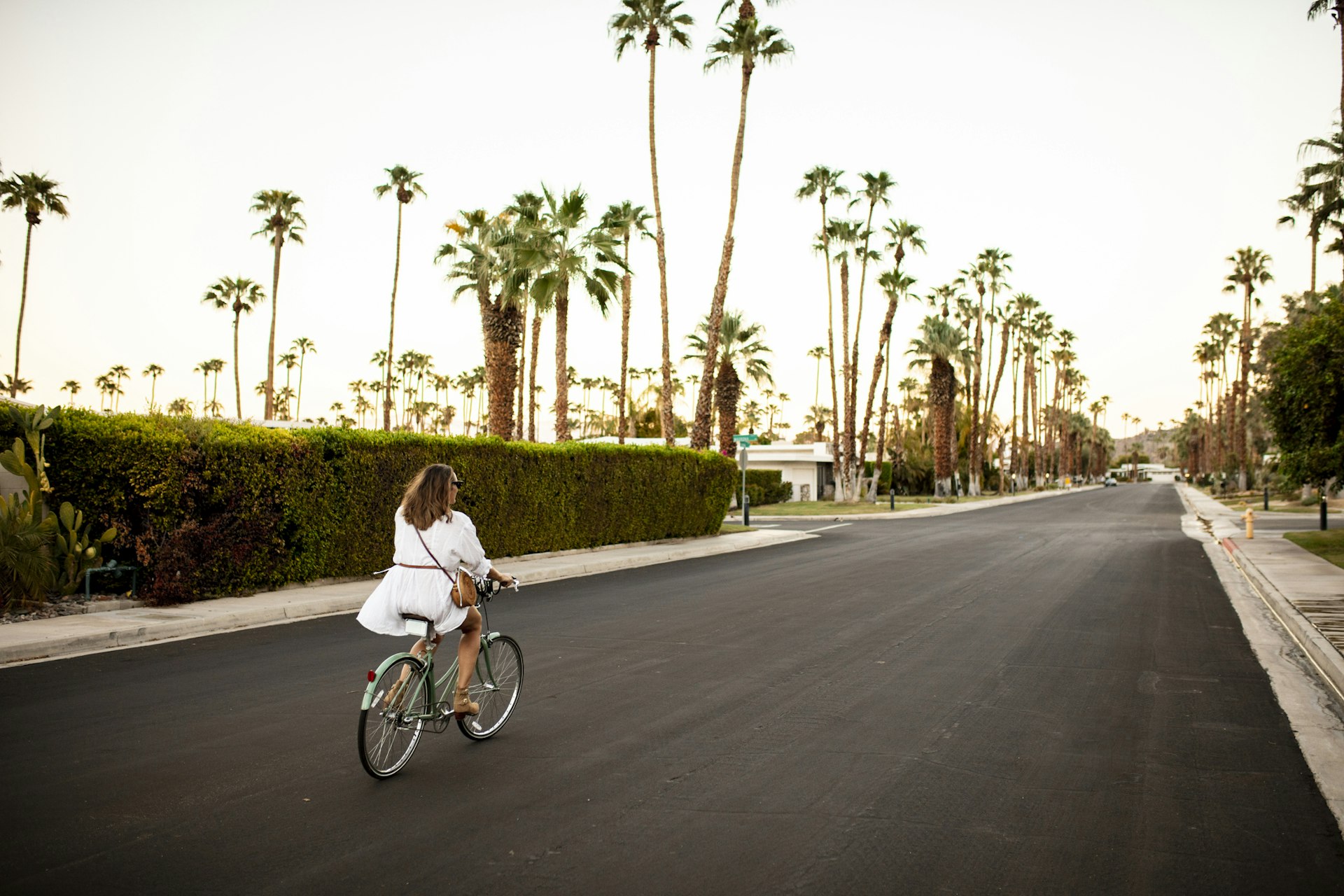 A woman rides a bicycle down a palm-lined street in Palm Springs, California, USA