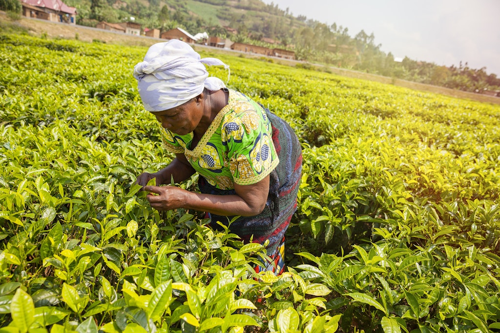 Rwanda's food scene: The taste of a nation - Lonely Planet