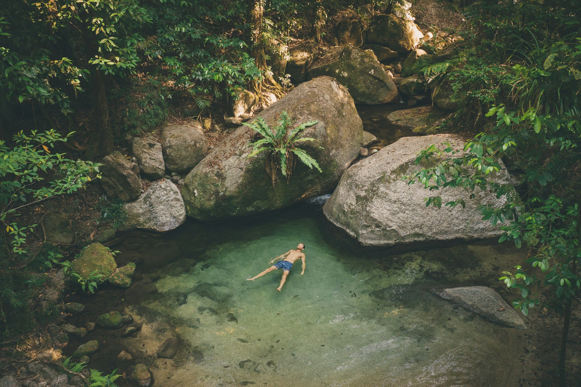 A man in swimwear lies in a natural pool gazing up at the rainforest that surrounds him