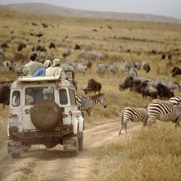 128220990
Adult, Adventure, Animal, Arid, Day, Eco-tourism, Field, Habitat, Herd, Jeep, Land, Land Transportation, Landscape, Outdoor, People, Group, Person, Road, Scenic, Sightseeing, Tourism, Tourist, Trail, Transportation, Travel, Vacation, Wild, Wilderness, Wildlife, Zebra, Zoology, Africa, Tanzania, Nature, Wild Animal, Eastern Africa, Sport Utility Vehicle, Location, Vehicle, Rugged, Safari, Stripe, Horizontal