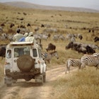 128220990
Adult, Adventure, Animal, Arid, Day, Eco-tourism, Field, Habitat, Herd, Jeep, Land, Land Transportation, Landscape, Outdoor, People, Group, Person, Road, Scenic, Sightseeing, Tourism, Tourist, Trail, Transportation, Travel, Vacation, Wild, Wilderness, Wildlife, Zebra, Zoology, Africa, Tanzania, Nature, Wild Animal, Eastern Africa, Sport Utility Vehicle, Location, Vehicle, Rugged, Safari, Stripe, Horizontal