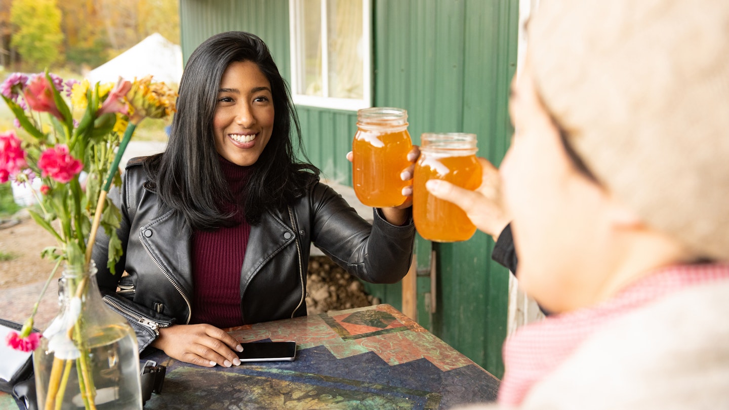 Smiling an Asian American woman in her 30s cheers cider drinks with her non binary friend while sitting at an outside table at the Stone Ridge Orchard farm bar in upstate New York.
1284467373
Two friends toasting with glasses of cider at an outdoor table