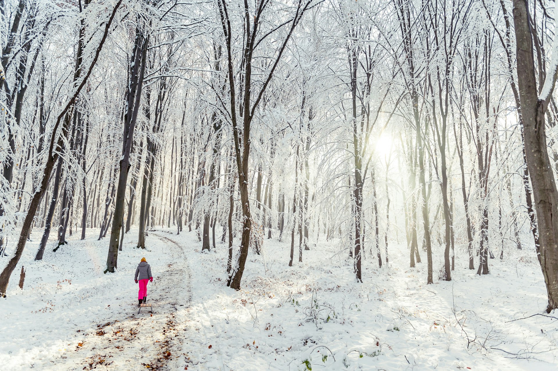 12 years old girl pulling a sledge on snow in forest. She walks uphill on a trail in a cold sunny winter day in Transylvania, Romania