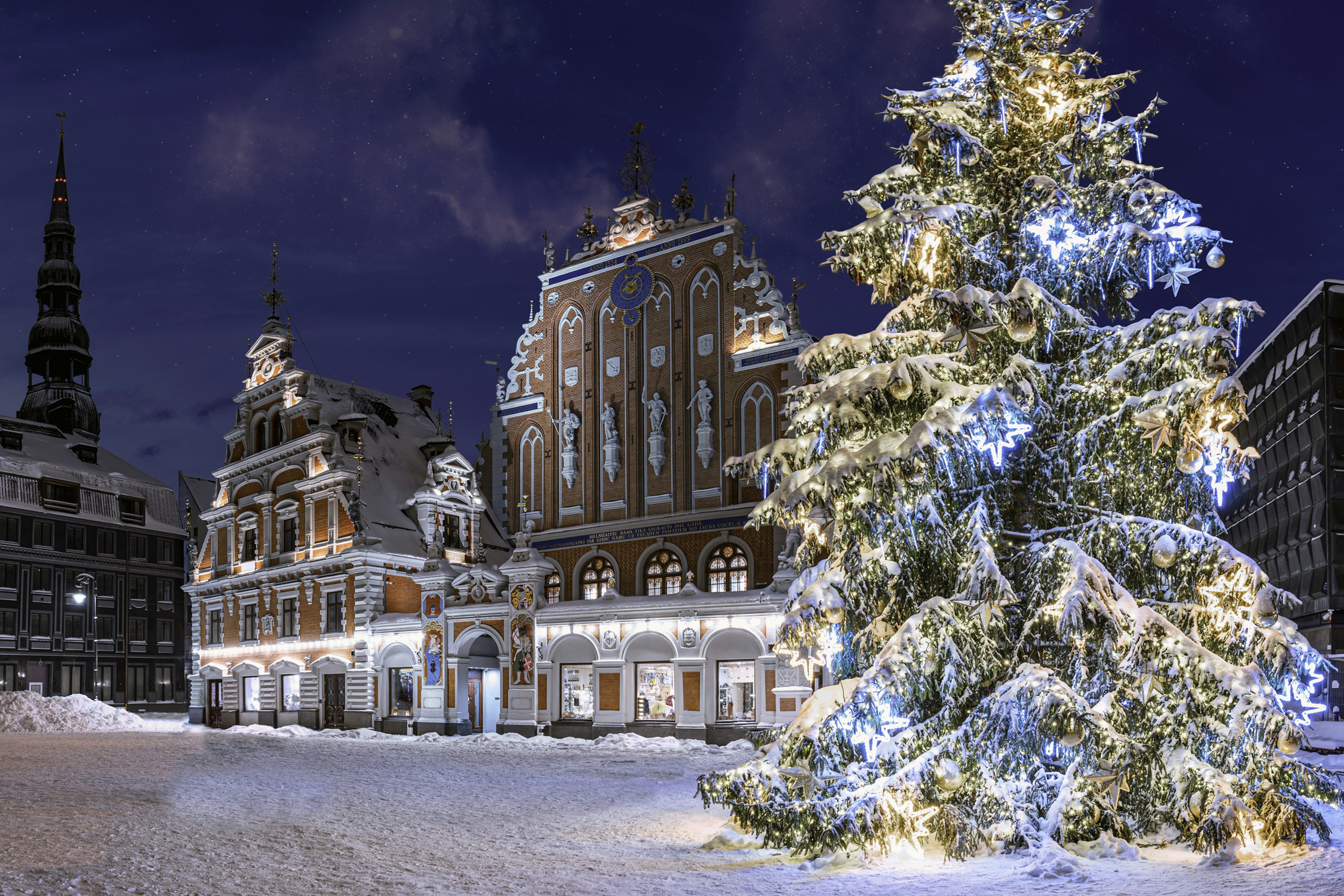 Illuminated Christmas tree at night. Town Hall square with House of the Blackheads and Christmas tree in winter, old town Riga, Latvia.