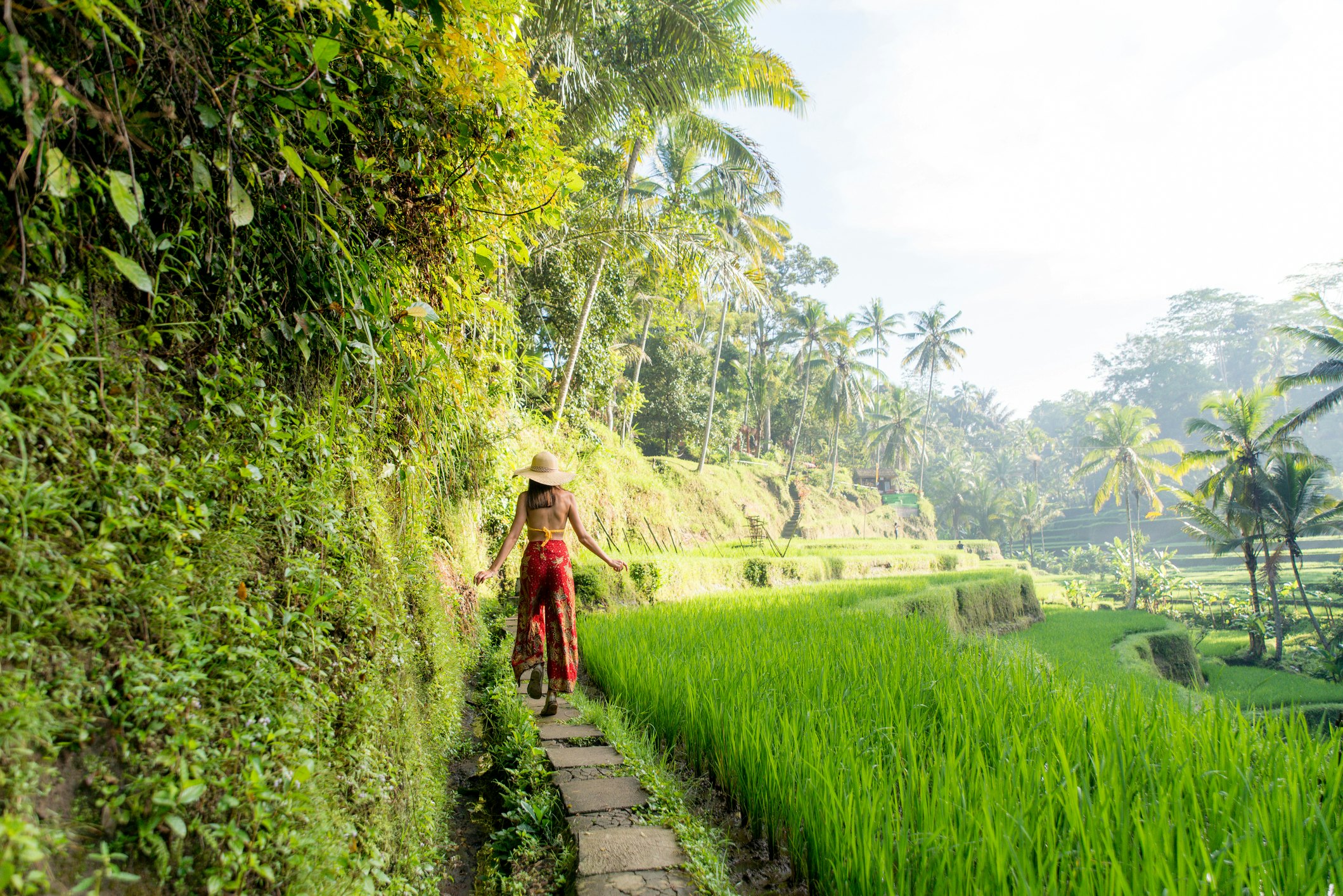 Young woman on green cascade rice field plantation at Tegalalang terrace