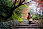 woman traveler tourist enjoy taking picture of autumn leafs falling in garden park of Japan, walking in public park happiness with the nature autumn change
1413951362