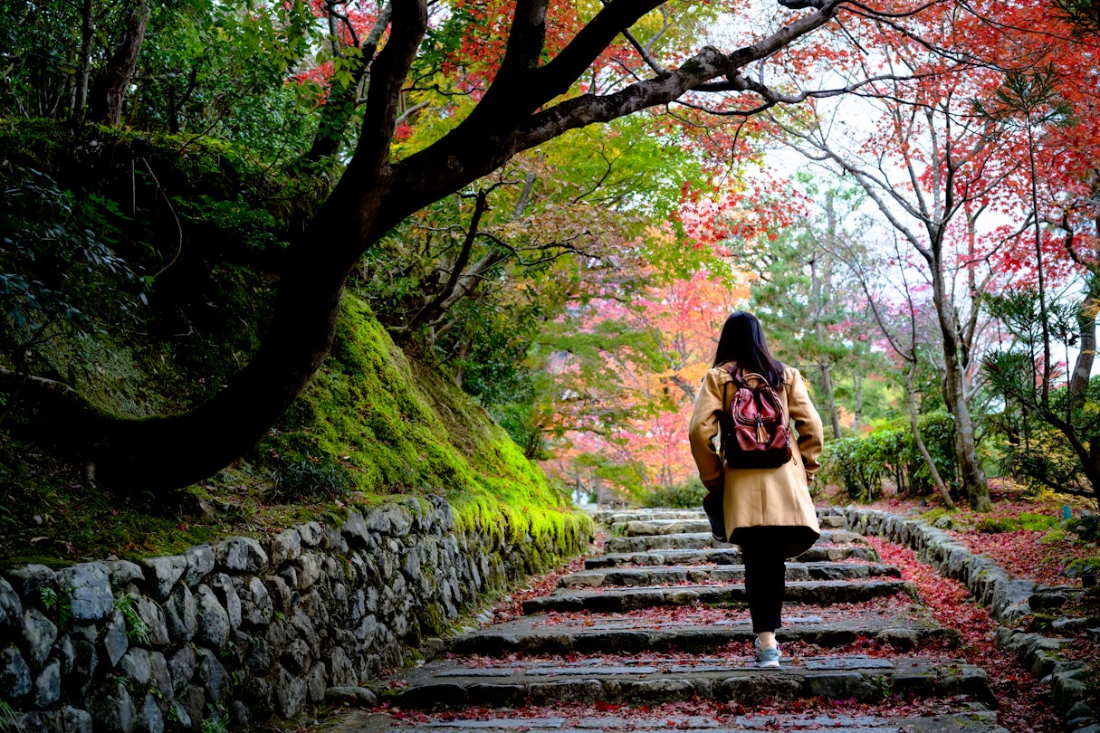 visit kyoto in november