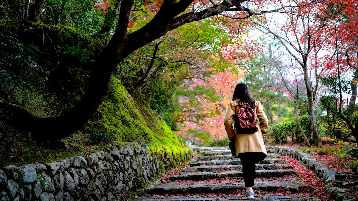 woman traveler tourist enjoy taking picture of autumn leafs falling in garden park of Japan, walking in public park happiness with the nature autumn change
1413951362