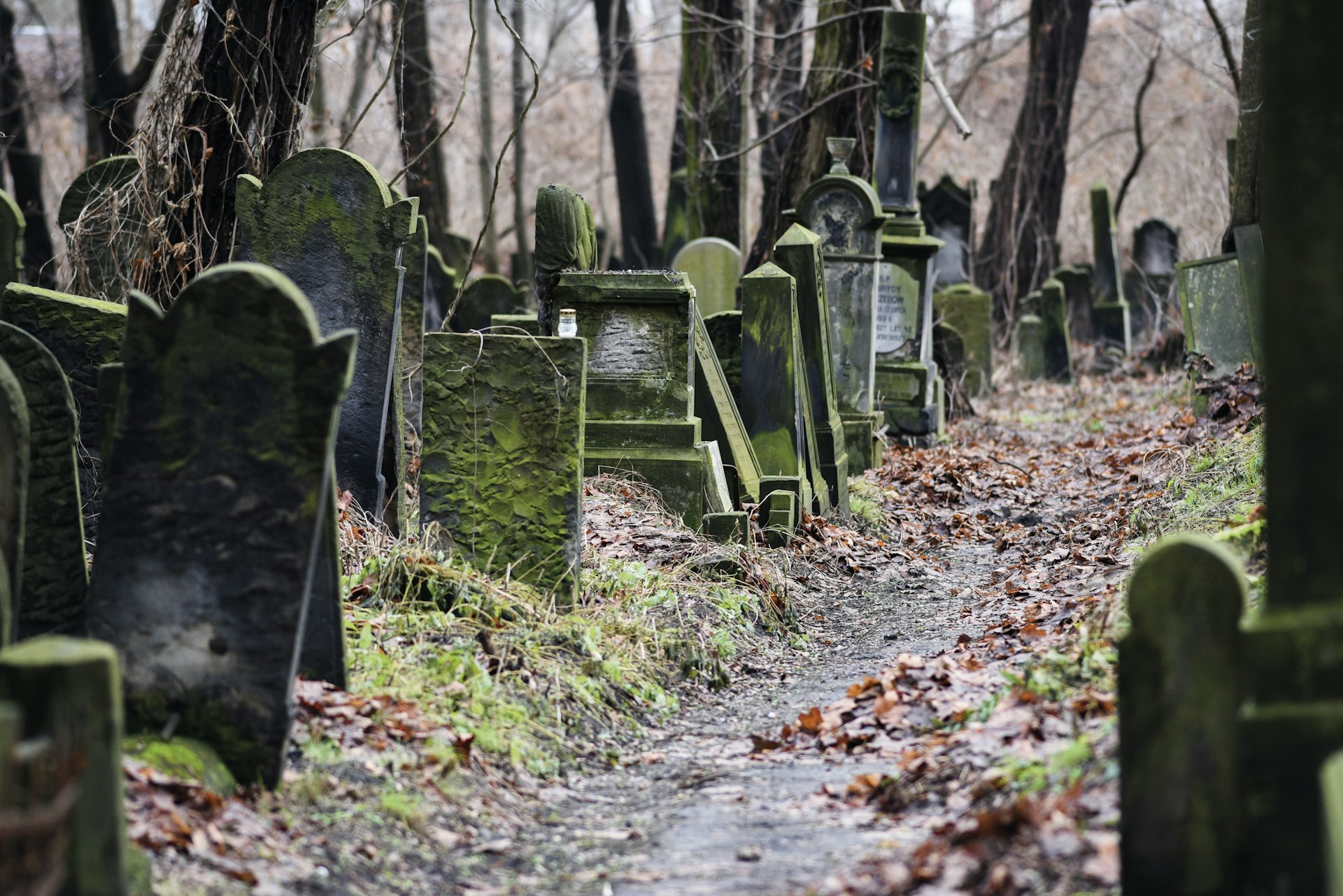 Lápides no cemitério judaico, Varsóvia, Polônia