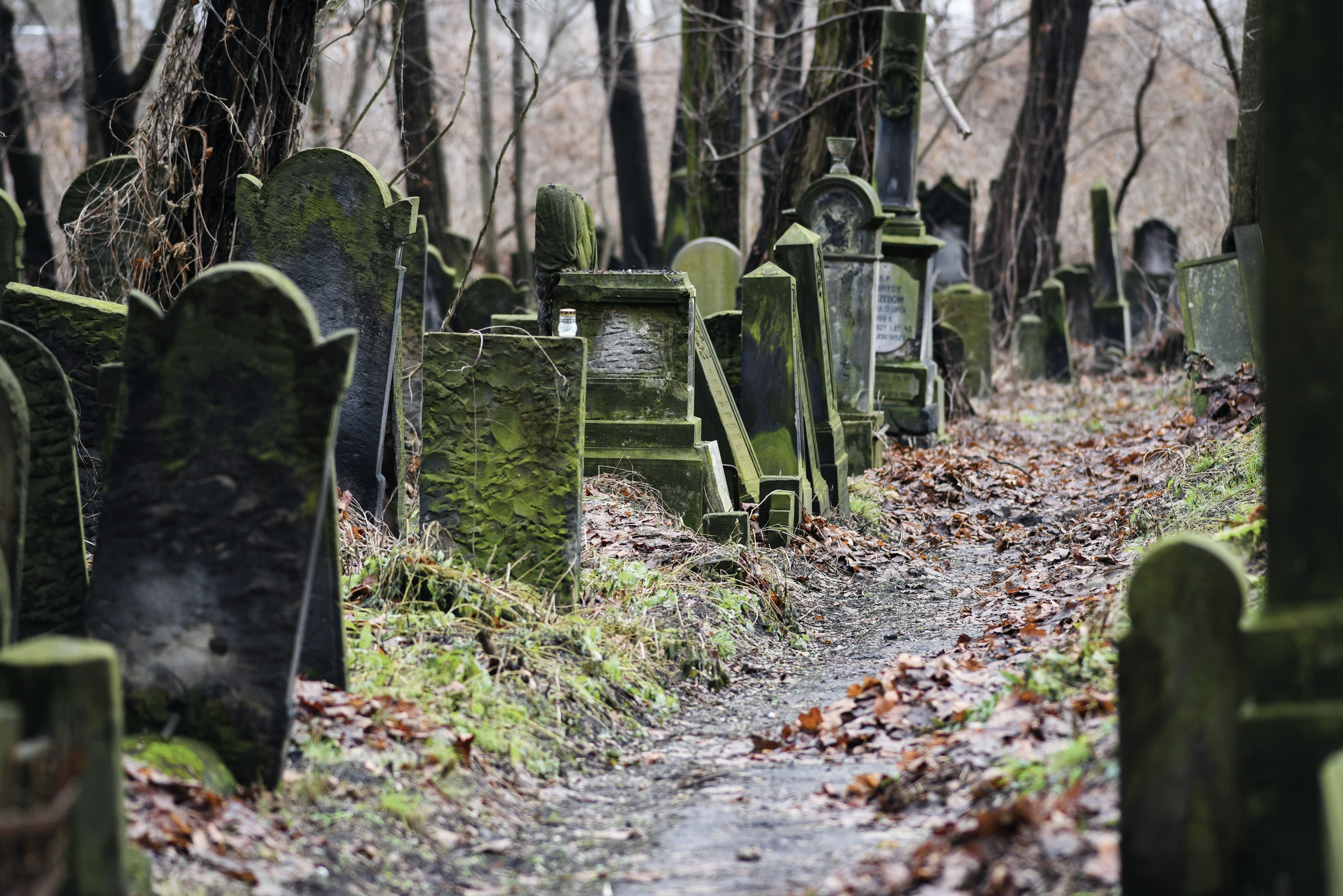 Gravestones at the Jewish cemetery, Warsaw, Poland