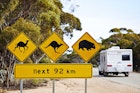 Road sign on the Nullarbor plain.
159326545
highway, road, sign, outback, safety