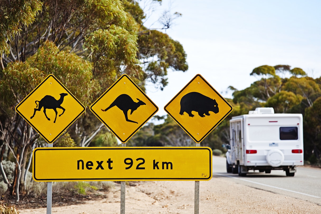 best road trip around australia