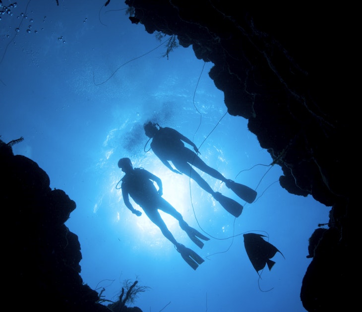 Shot of divers silhouetted against water's surface.
522035420
silhouette:CB2, two people:CB2, scuba diving:CB2, fish:CB2, underwater:CB2, cave:CB2, male:CB2, view from below:CB2, couples:CB2, female:CB2, outdoors:CB2, natural world:CB2, Caribbean Sea:CB2, marine life:CB2, outline:CB2, chasm:CB2, puerto rico:CB2, silhouettes:CB2