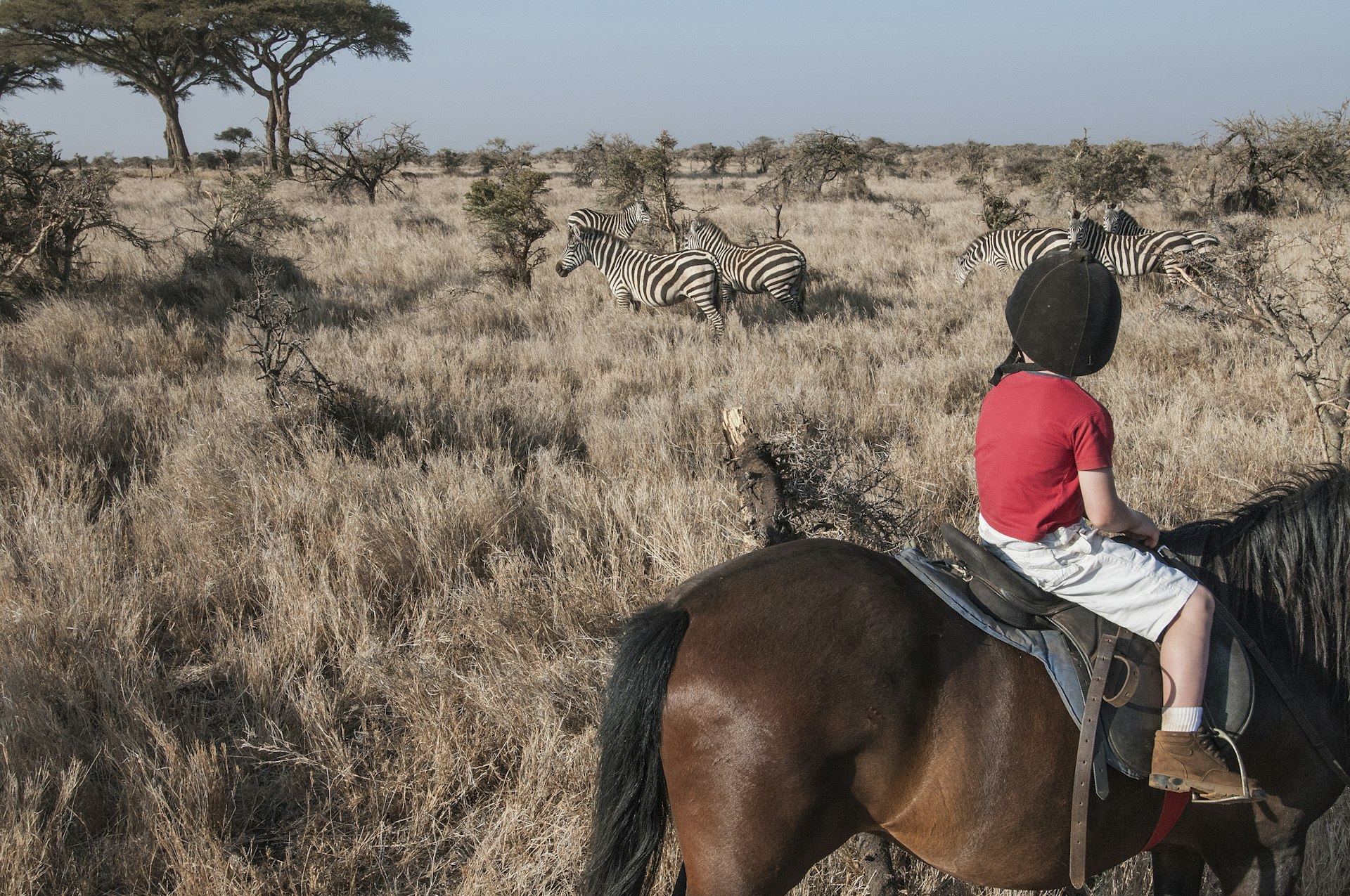 A young boy on a horse in the bush watching zebras in Kenya