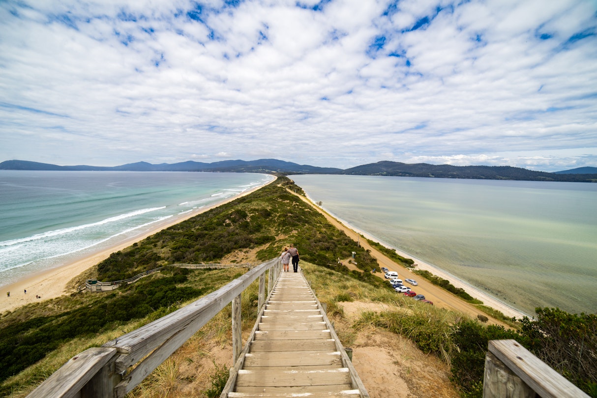 Bruny Island, located just south of Hobart is an island made up of North Bruny and South Bruny joined by a 5km-long sandy isthmus called 'The Neck'. Tasmania, Australia
628693522