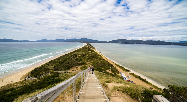 Bruny Island, located just south of Hobart is an island made up of North Bruny and South Bruny joined by a 5km-long sandy isthmus called 'The Neck'. Tasmania, Australia
628693522