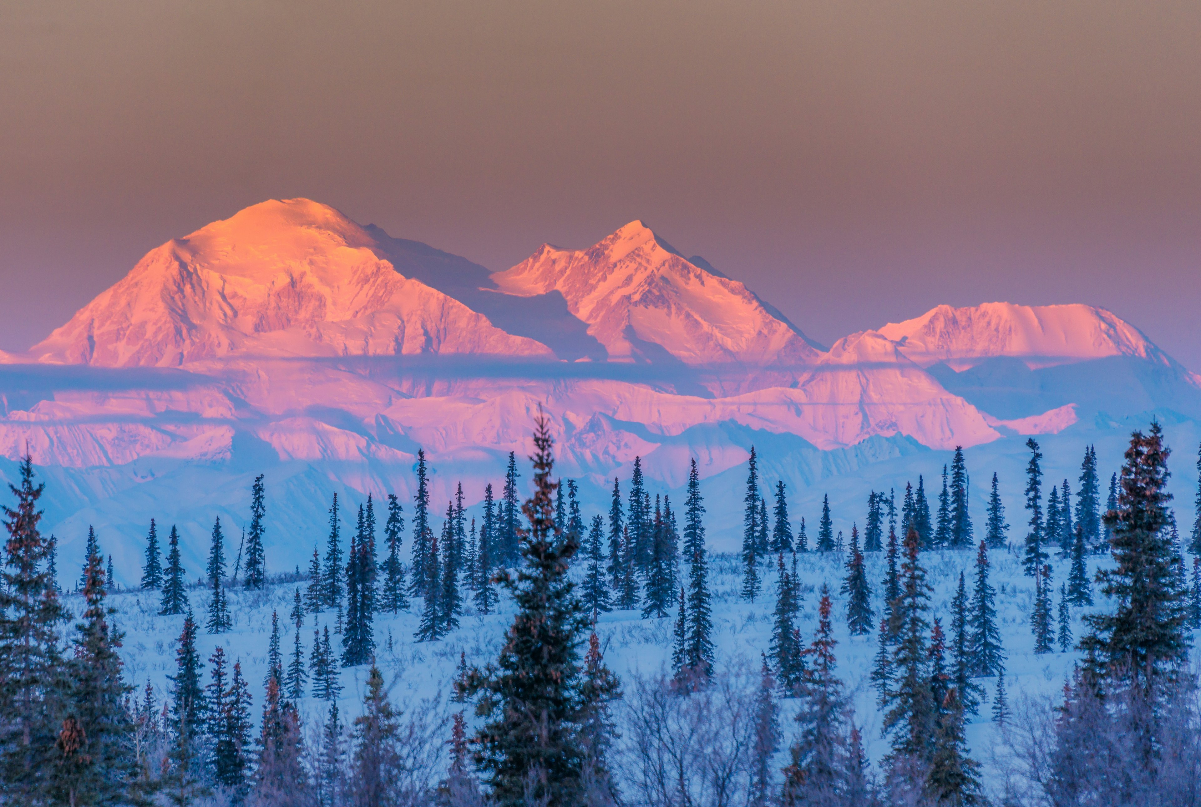 Mt McKinley (aka Denali) on a clear morning with alpenglow, Alaska, USA