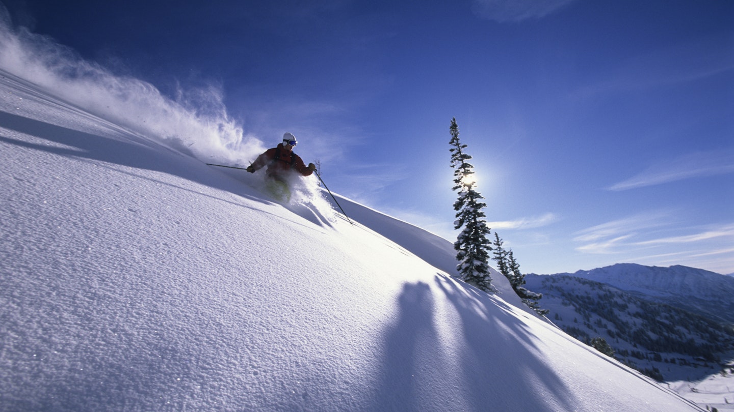 87069857
Action, Alta, Cold Temperature, Color Image, Day, Excitement, Exhilaration, Horizontal, Leisure Activity, Low Angle View, Motion, Mountain, Mountain Range, Moving Down, One Person, Outdoors, Photography, Pine Tree, Powder Snow, Recreational Pursuit, Ski, Skiing, Skill, Slalom, Snow, Speed, Sport, Steep, Tree, Unrecognizable Person, Unusual Angle, Utah, Winter Sport, USA