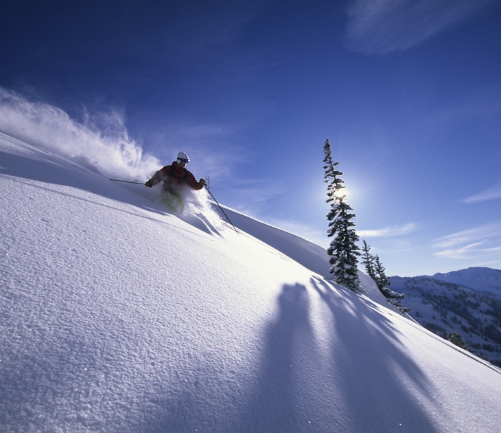 87069857
Action, Alta, Cold Temperature, Color Image, Day, Excitement, Exhilaration, Horizontal, Leisure Activity, Low Angle View, Motion, Mountain, Mountain Range, Moving Down, One Person, Outdoors, Photography, Pine Tree, Powder Snow, Recreational Pursuit, Ski, Skiing, Skill, Slalom, Snow, Speed, Sport, Steep, Tree, Unrecognizable Person, Unusual Angle, Utah, Winter Sport, USA