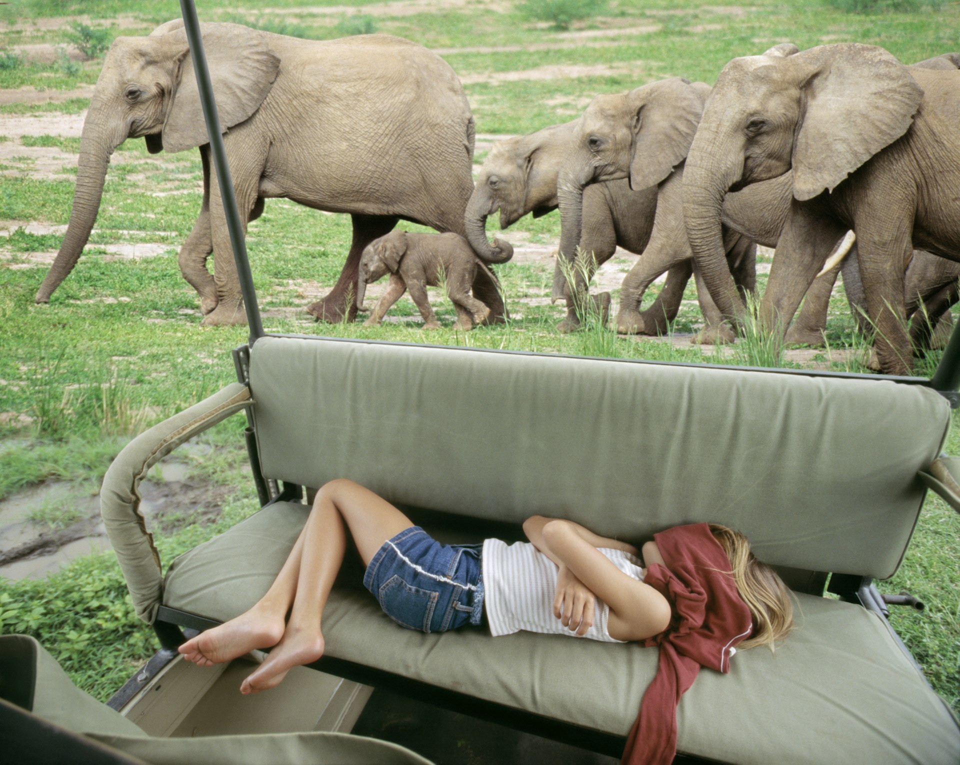 Child sleeps in a safari vehicle with elephants in the background in Tanzania