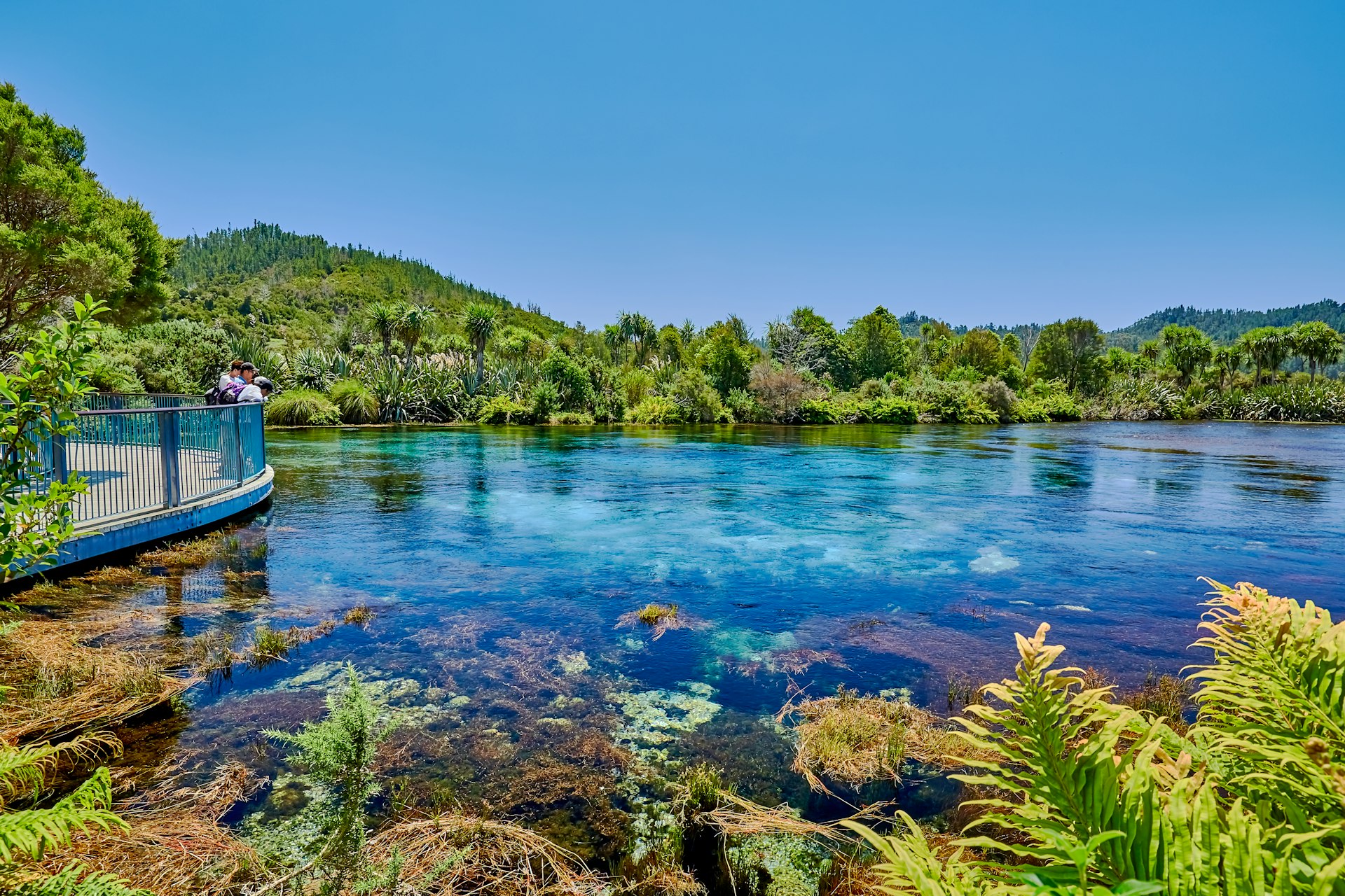Tourists stand by thge edge of the crystal clear waters of Te Waikoropupu Spring