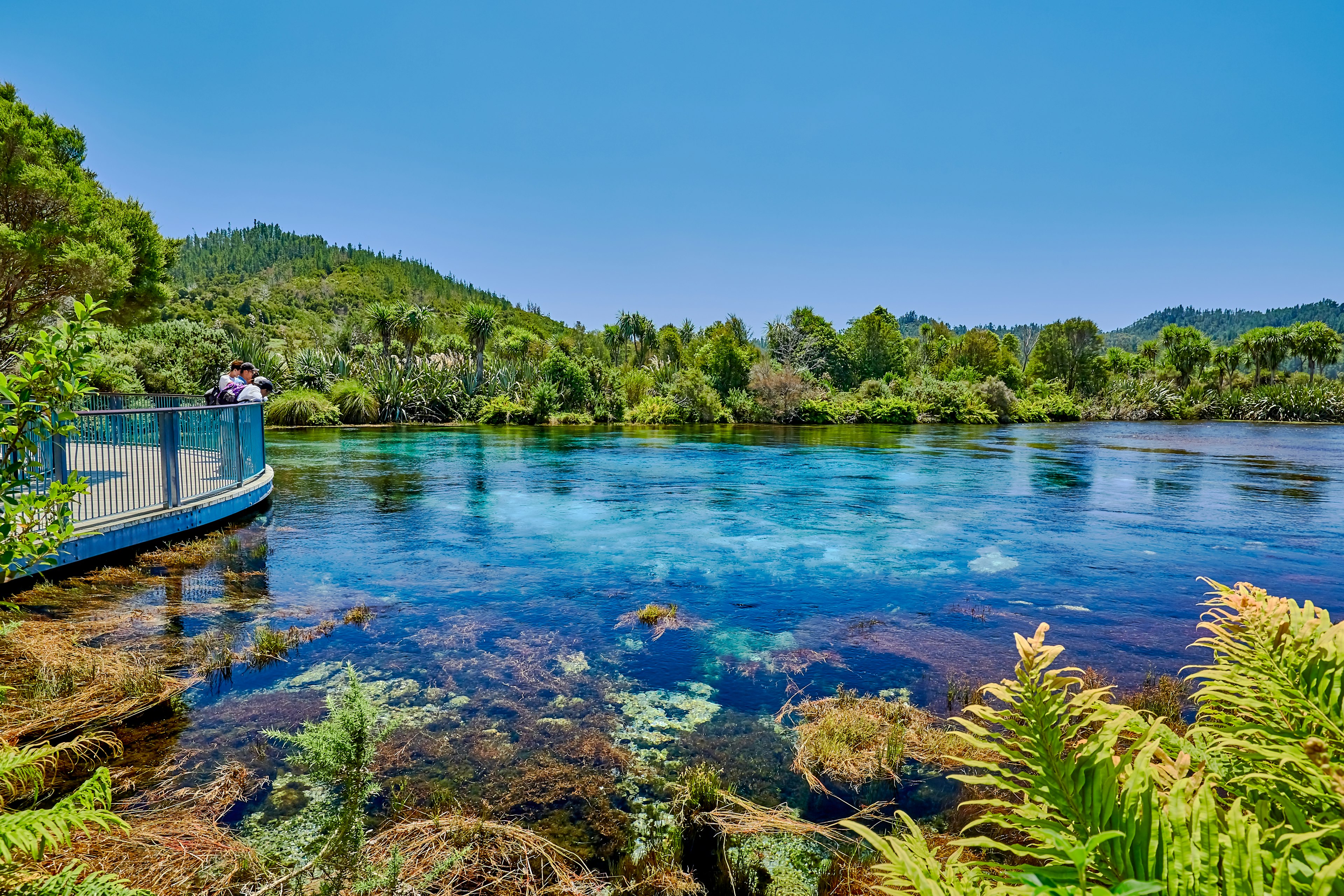 Tourists stand by the edge of the crystal clear waters of Te Waikoropupu Spring