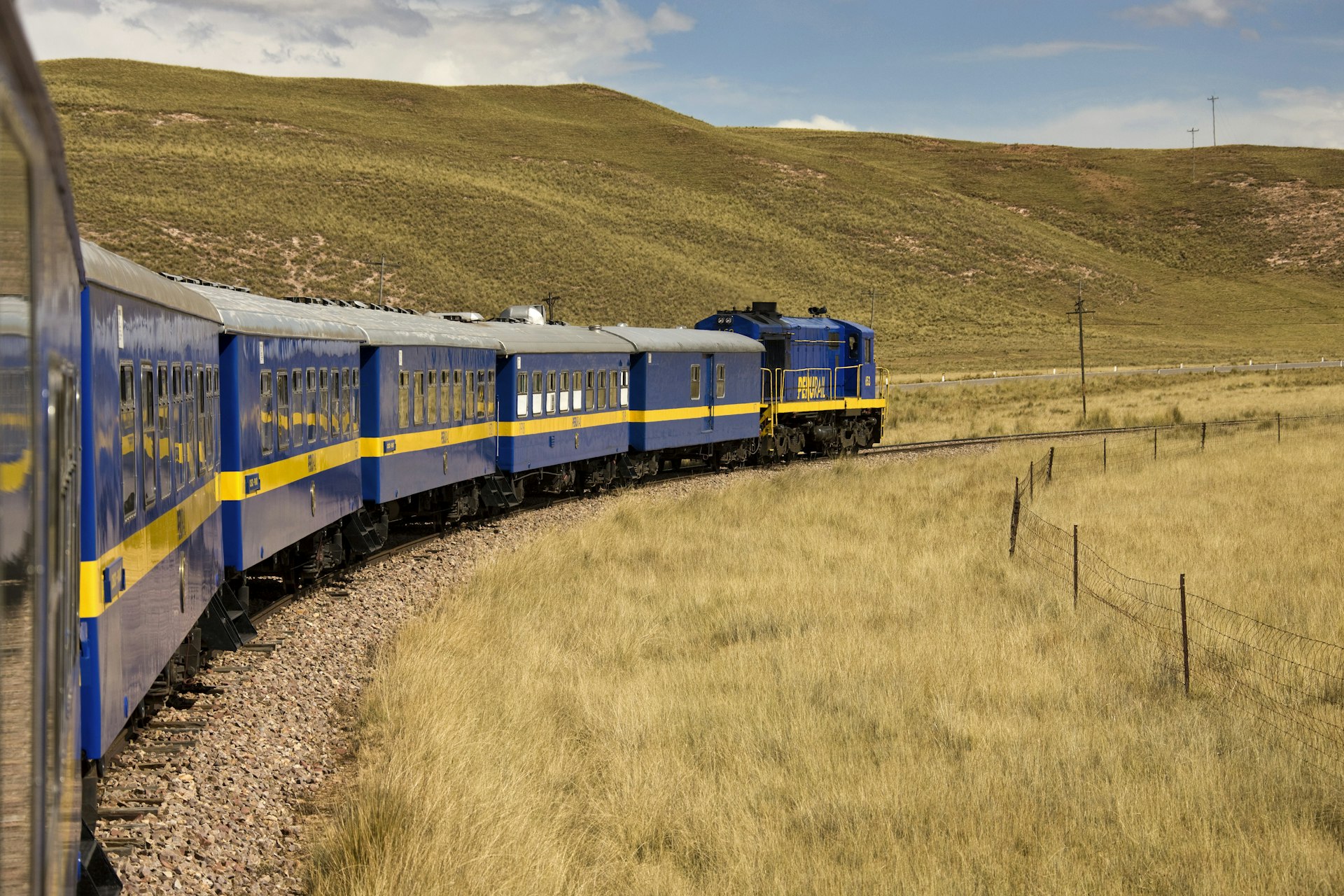 A blue-and-yellow train weaves around a corner in a grassy landscape in Peru. 