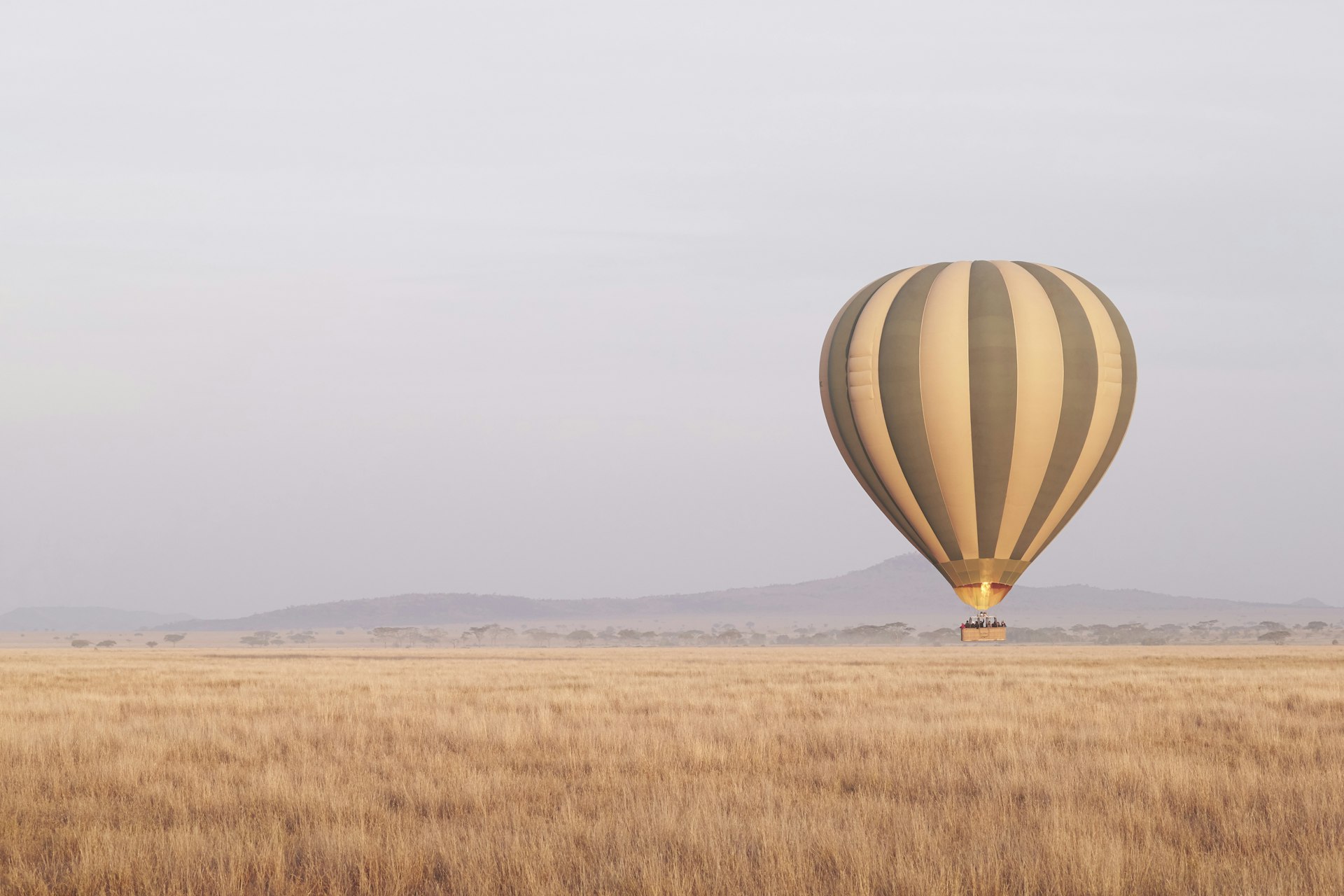A hot-air balloon takes off at dawn on the Serengeti