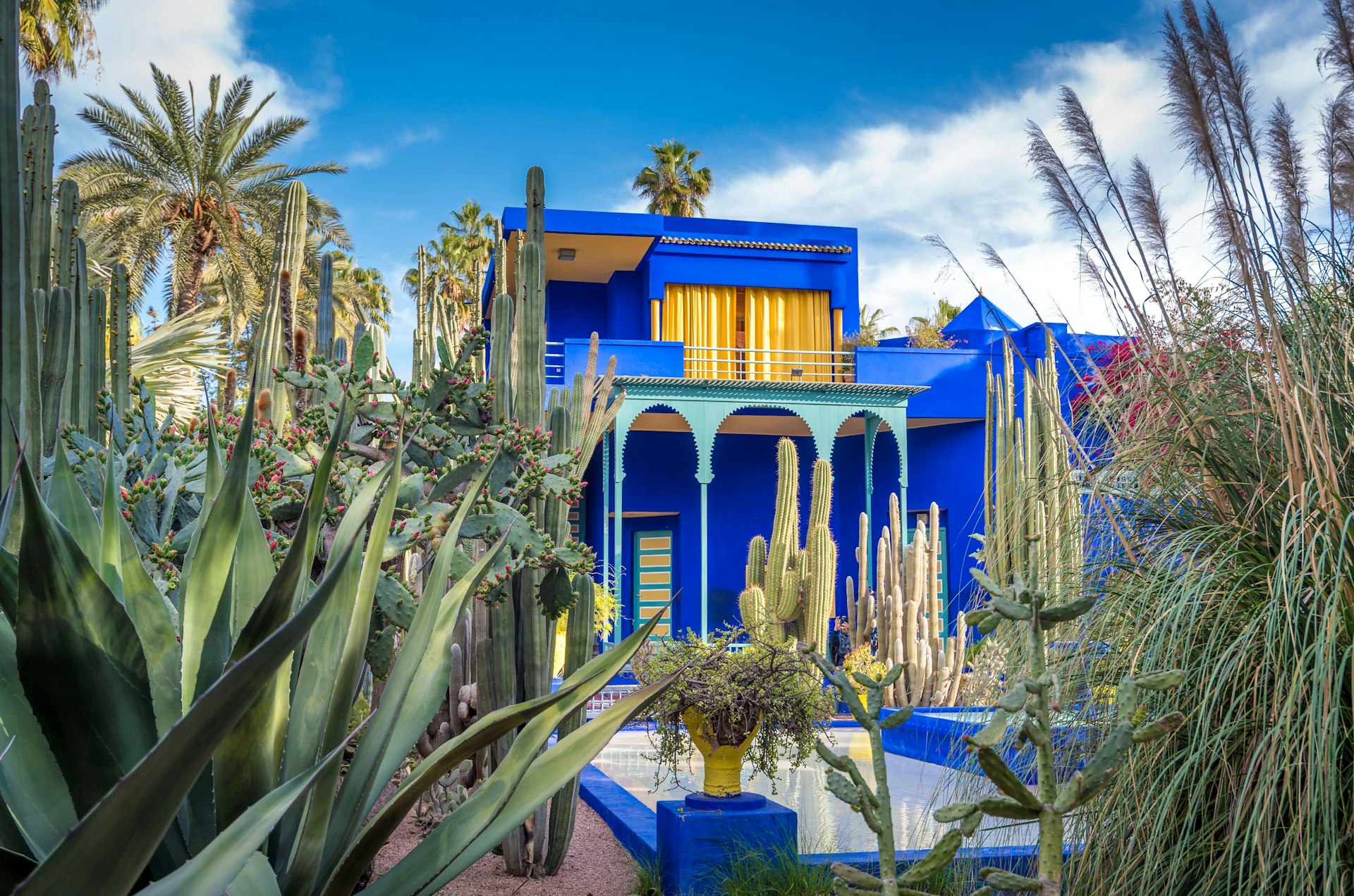 A striking blue building with yellow features sits in a cactus-filled garden