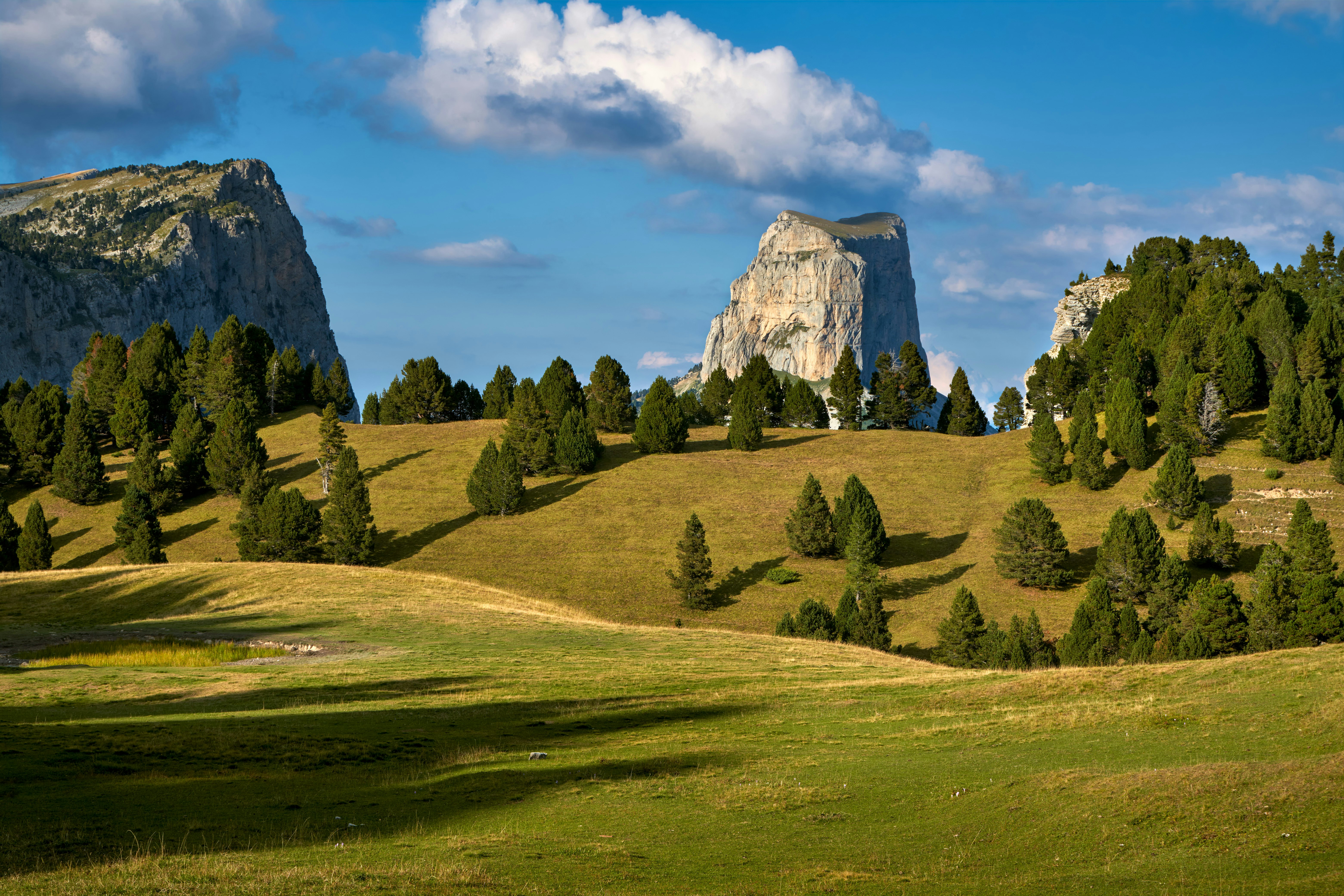 Mont Aiguille and the Vercors High Plateaus in summer. Vercors Regional Natural Park, Isere, Rhone-Alpes, Alps, France
1265216768
mont aiguille, tourist attraction, vercors high plateaus, vercors massif, vercors regional natural park