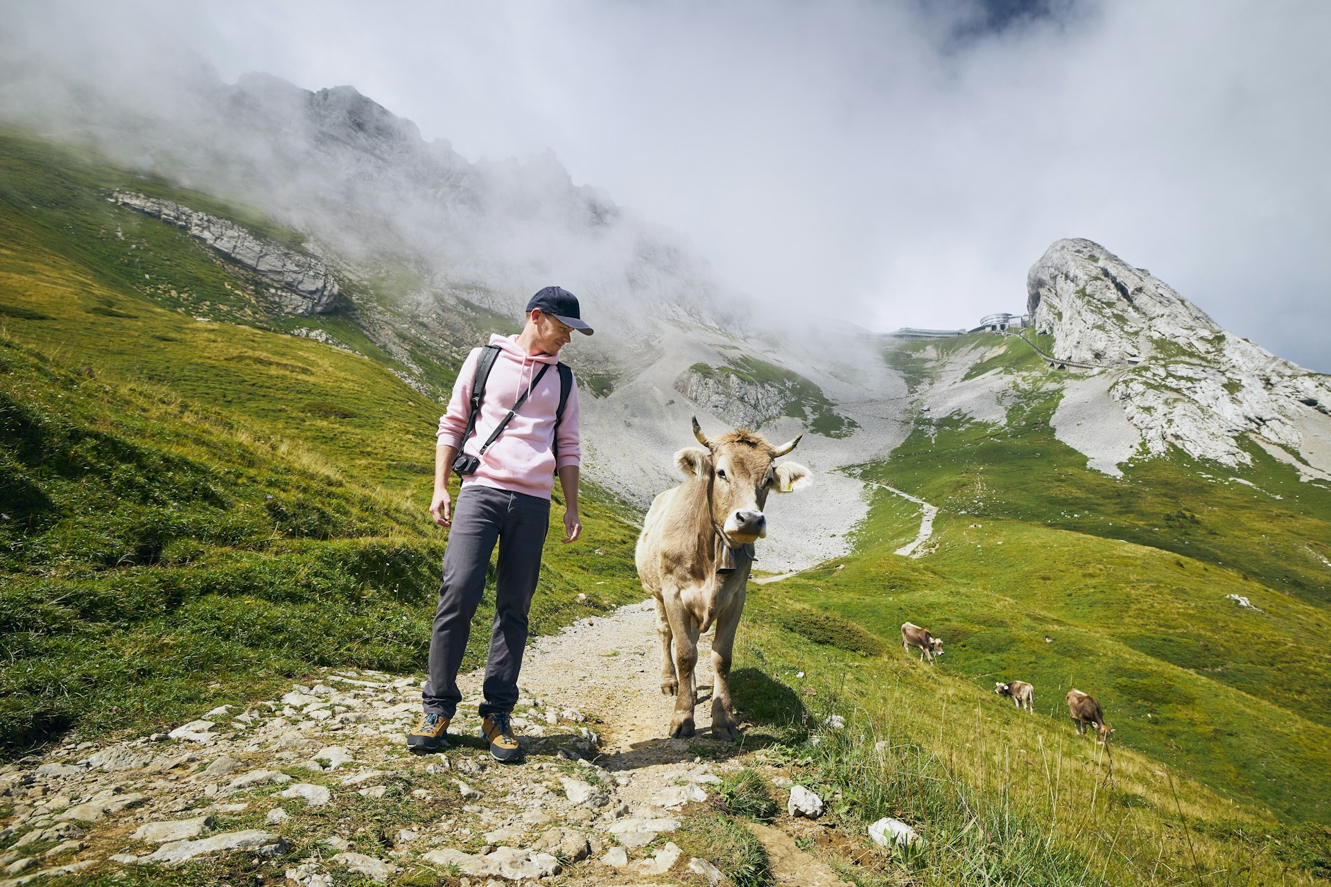 Young man walking with swiss cow on mountain footpath. Mount Pilatus, Lucerne, 