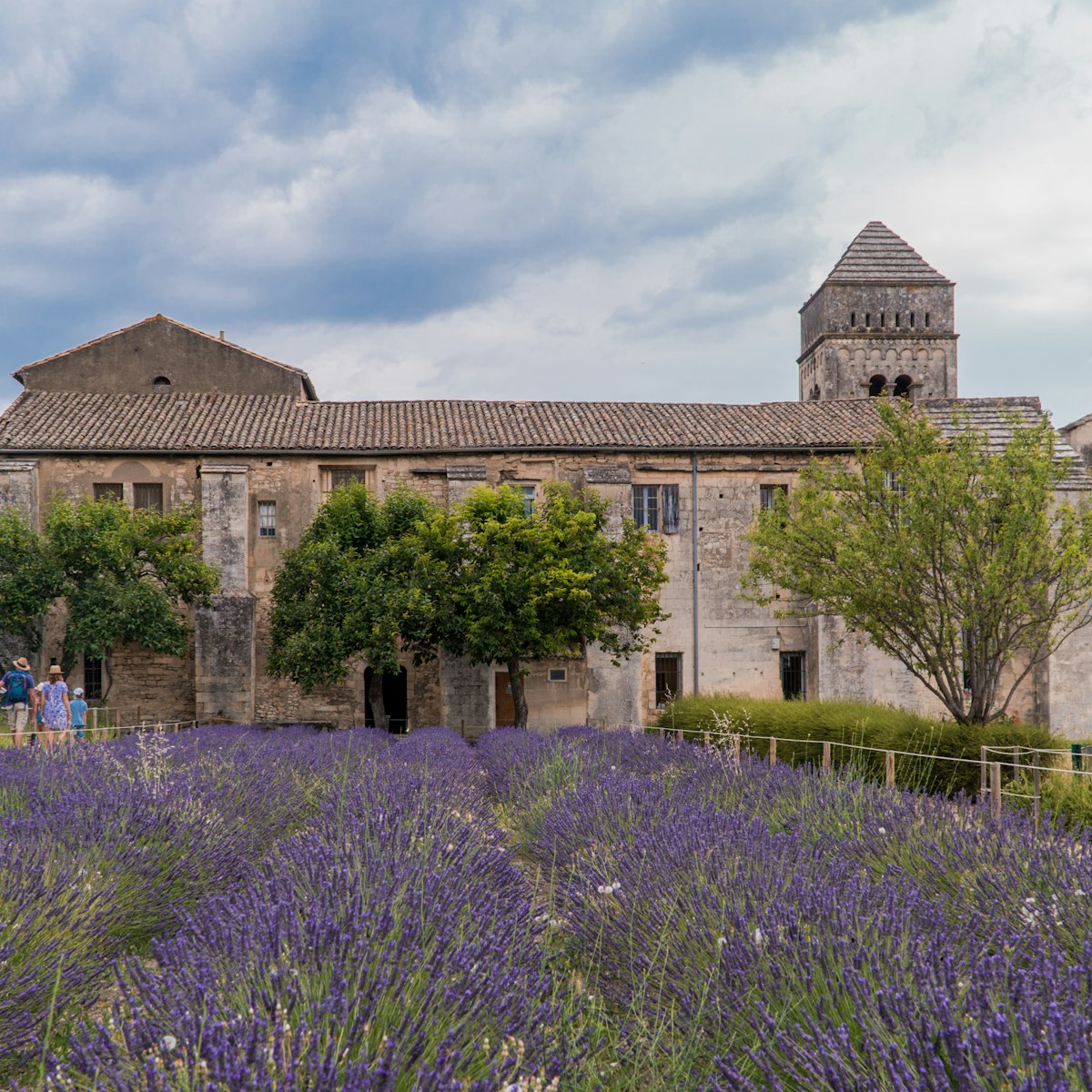 Saint-RÃ©my-de-Provence, Provence-Alpes-CÃ´te d'Azur - France - July 10 2021: Lavender fields at the Monastery of Saint-Paul de Mausole, Saint-RÃ©my.
Saint-Rémy-de-Provence, Provence-Alpes-Côte d'Azur - France - July 10 2021: Lavender fields at the Monastery of Saint-Paul de Mausole, Saint-Rémy.
1369605560
abbey, aroma, building, country, countryside, culture, field, floral, fragrance, french, historical, landmark, landscape, lavender, lavender fields, provence, relax, rock, ruin, rural, scenic, stone, traditional, typical, view, violet