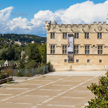 Facade of the Petit Palais from Place du Palais in Avignon
1441868949