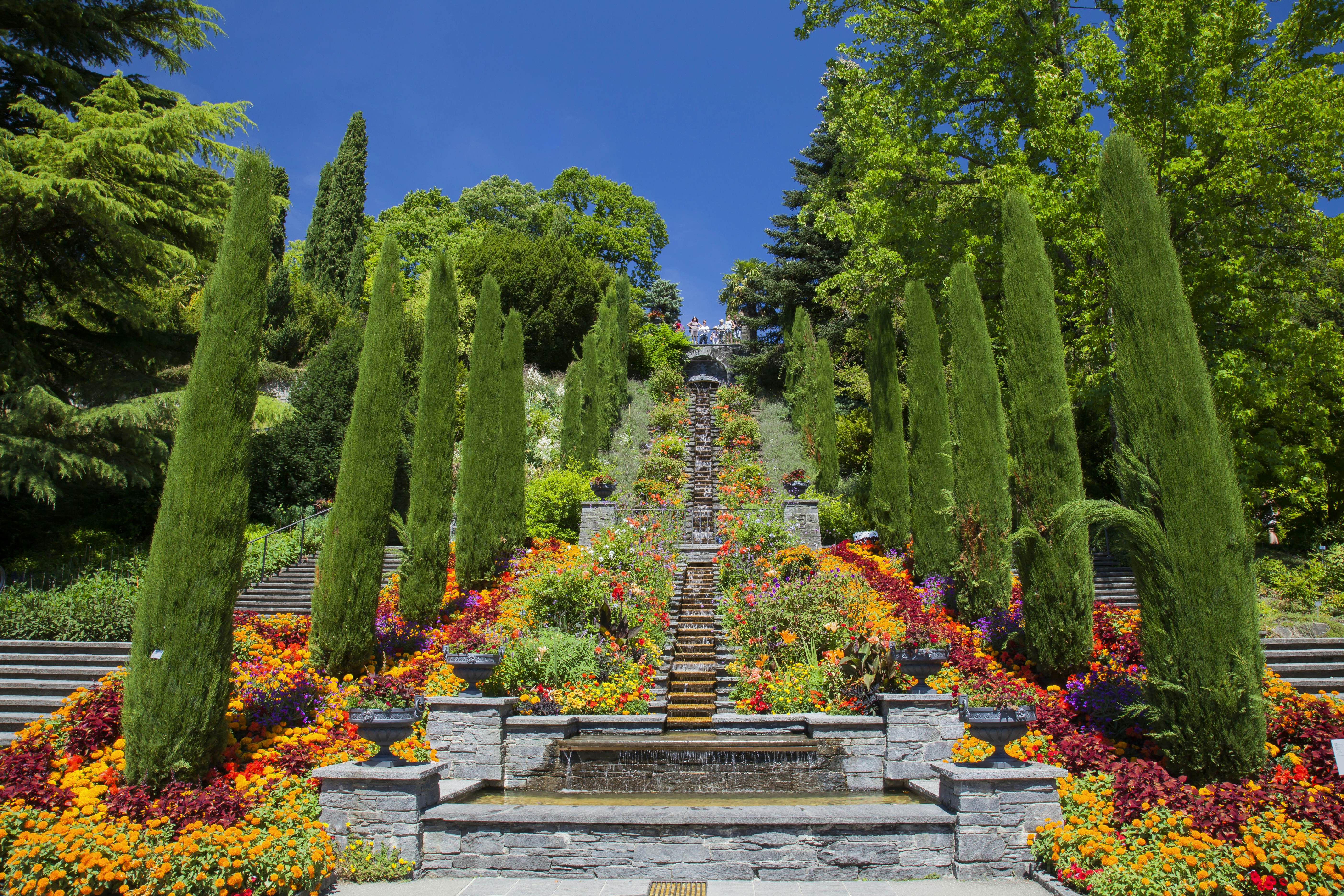 A view of the lush Mediterranean garden on Mainau Island, Baden-Warttemberg, Germany.