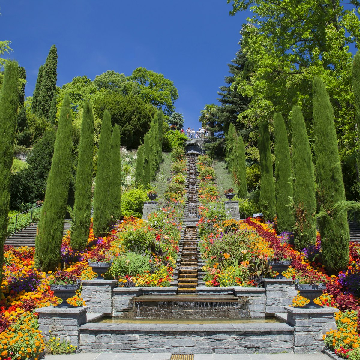 Italy Flower stairs and bed of flowers, Mainau Island, Baden-WÃ¼rttemberg, Germany, Europe
Italy Flower stairs and bed of flowers, Mainau Island, Baden-Württemberg, Germany, Europe
1496841157
baden-wurttemberg, central, constance, detail, federal, flowerstairs, german, liliaceae, mainau, middle, republic, southern, stair, süddeutschland, tulipa, baden, bloom, bloomer, border, daylight, daytime, decorative, deserted, exterior, flowering, flowers, green, herbaceous, incidental, one, ornamental, park, pompous, public, spring, stairs, württhemberg
