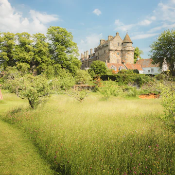 Historic Falkland Palace and village with landscaped gardens on a sunny summer day in Fife, Scotland, UK.
1502567466