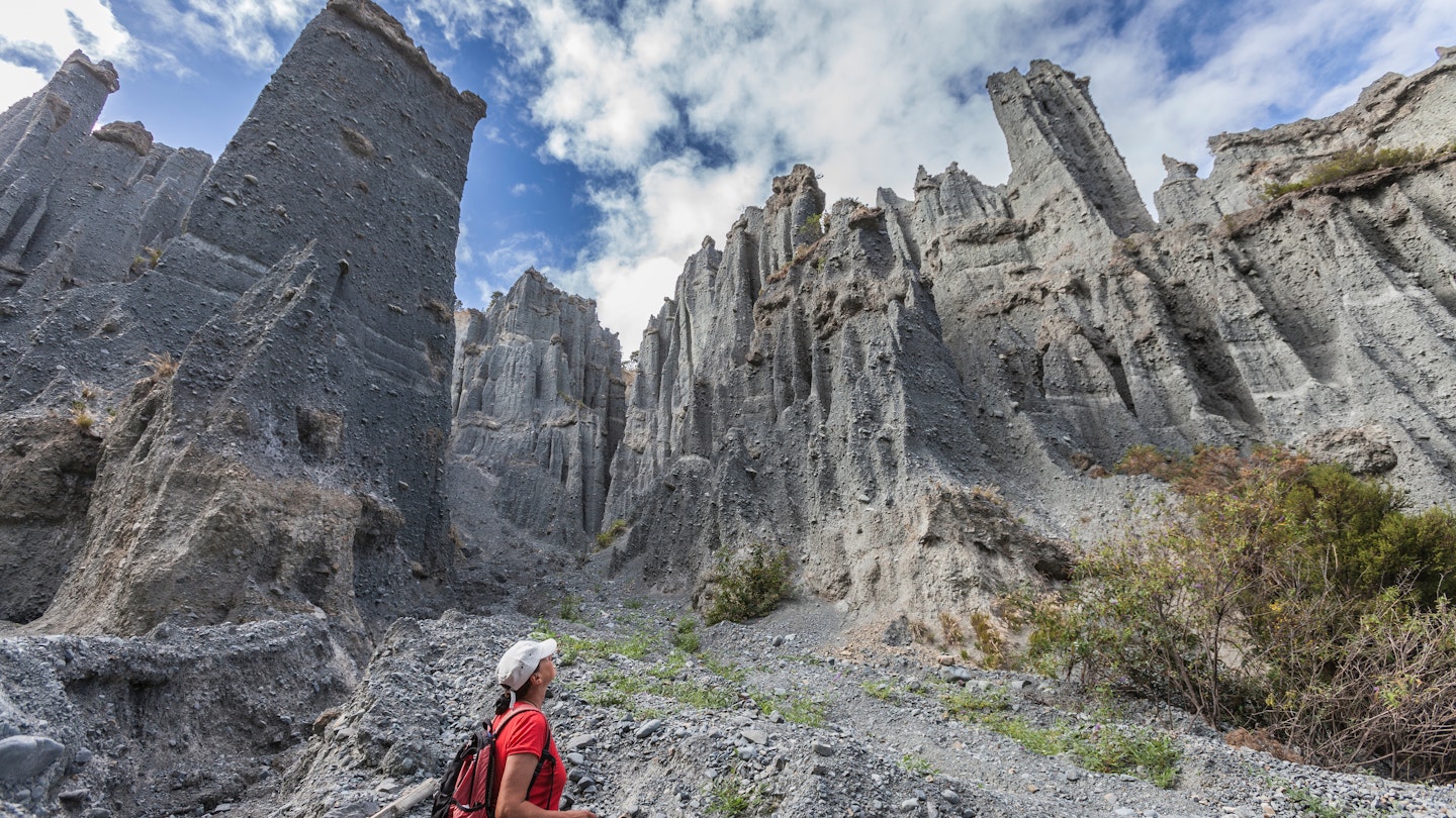 hiking in the Putangirua Pinnacles, New Zealand, nort island
1172301694