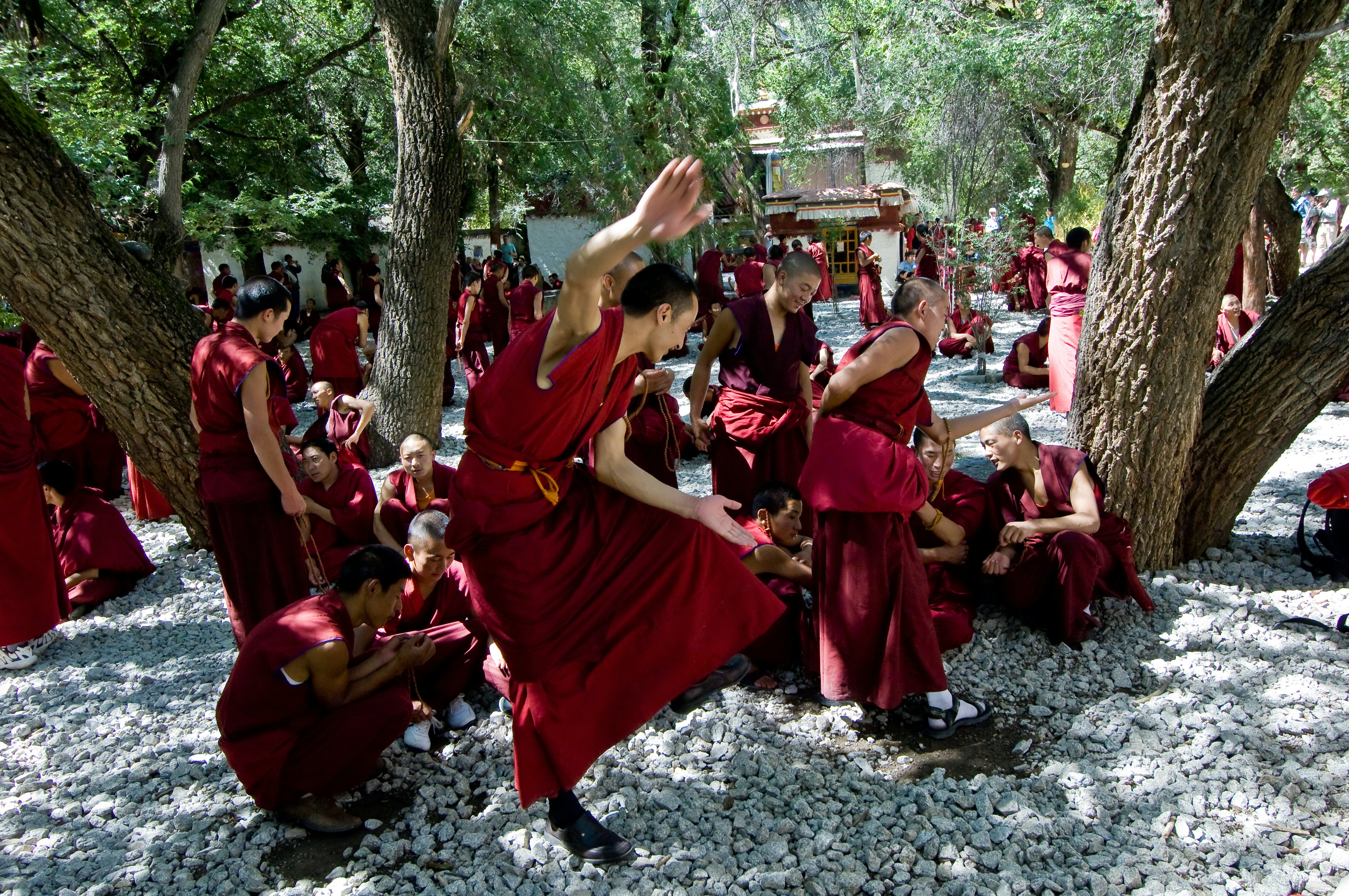 Tibetan monks at Sera monastery debating in the courtyard; Shutterstock ID 11988370; full: digital; gl: 65050; netsuite: poi; your: Barbara Di Castro
11988370