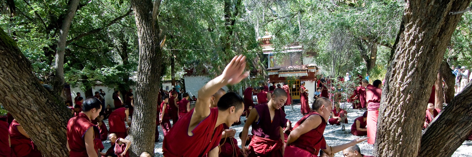 Tibetan monks at Sera monastery debating in the courtyard; Shutterstock ID 11988370; full: digital; gl: 65050; netsuite: poi; your: Barbara Di Castro
11988370