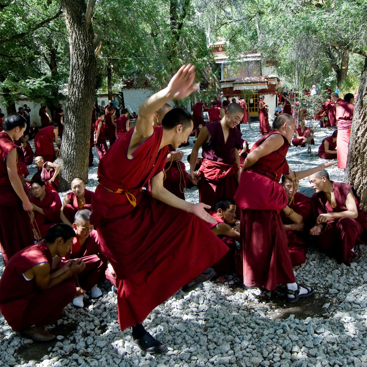 Tibetan monks at Sera monastery debating in the courtyard; Shutterstock ID 11988370; full: digital; gl: 65050; netsuite: poi; your: Barbara Di Castro
11988370