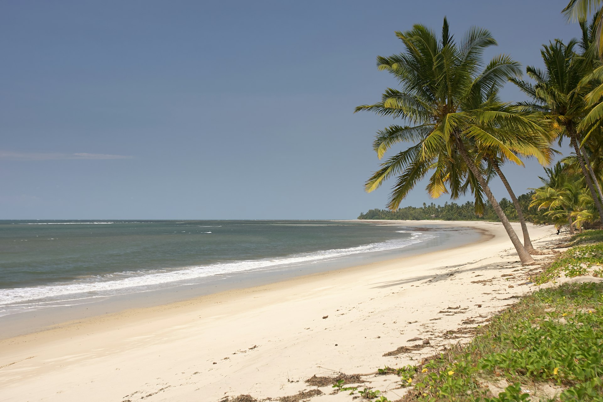 A white-sand beach backed by palm trees