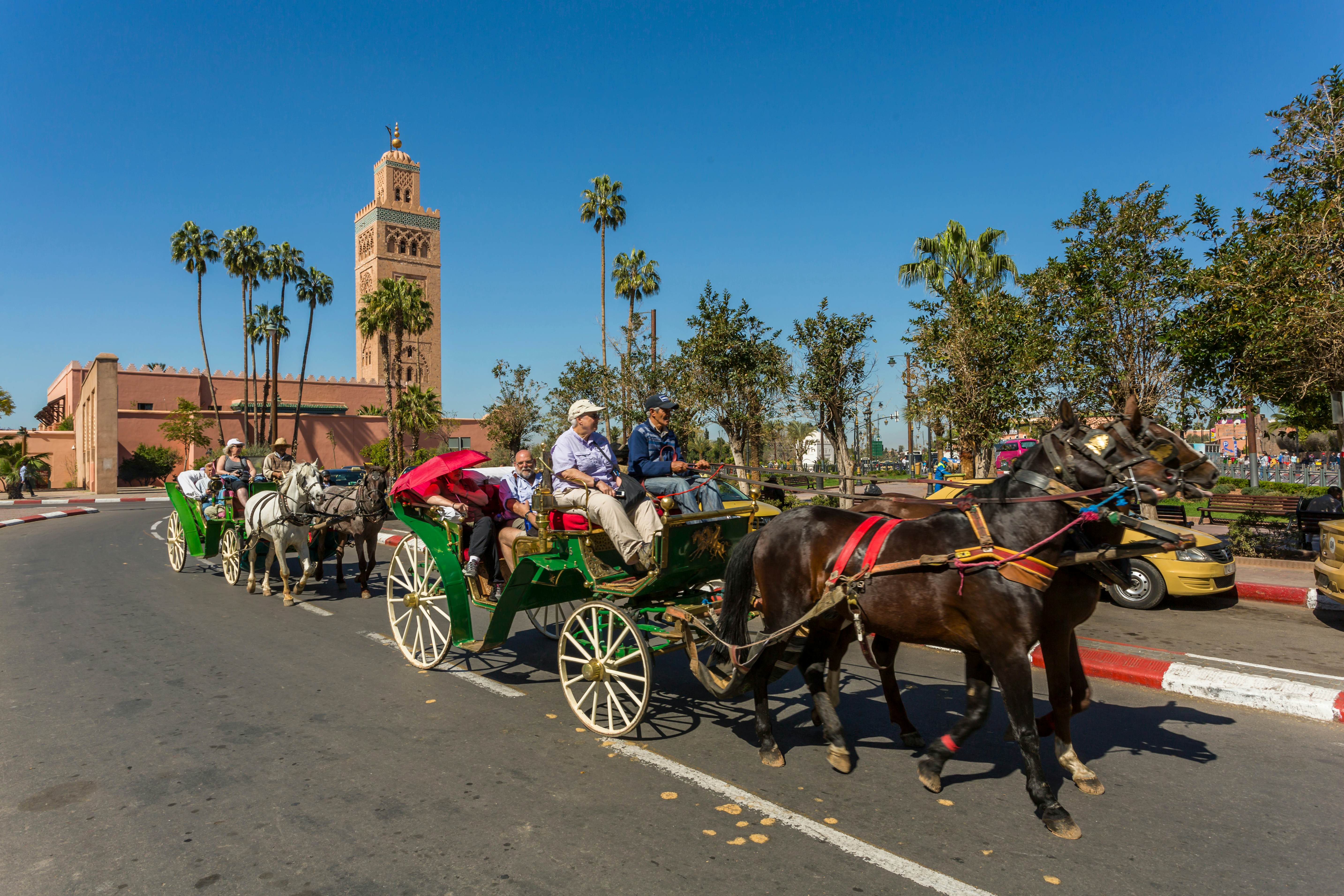 Getting around in Marrakesh - Lonely Planet