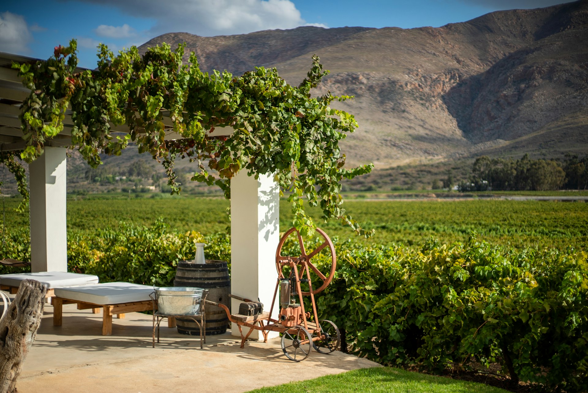 A Vineyard in Montagu Valley with deck chairs overlooking the landscape