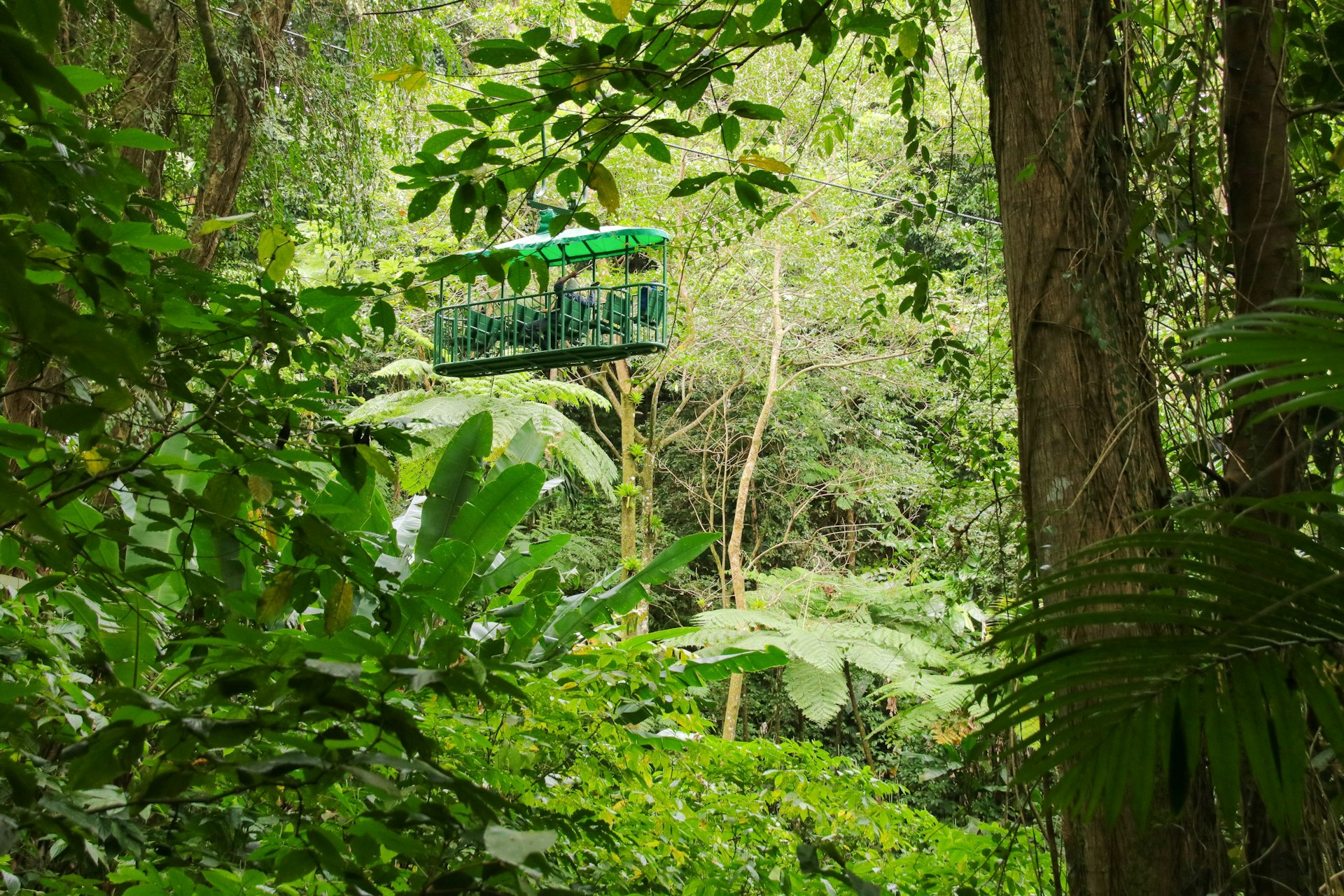 An open-sided green carriage is lifted via cable through dense rainforest